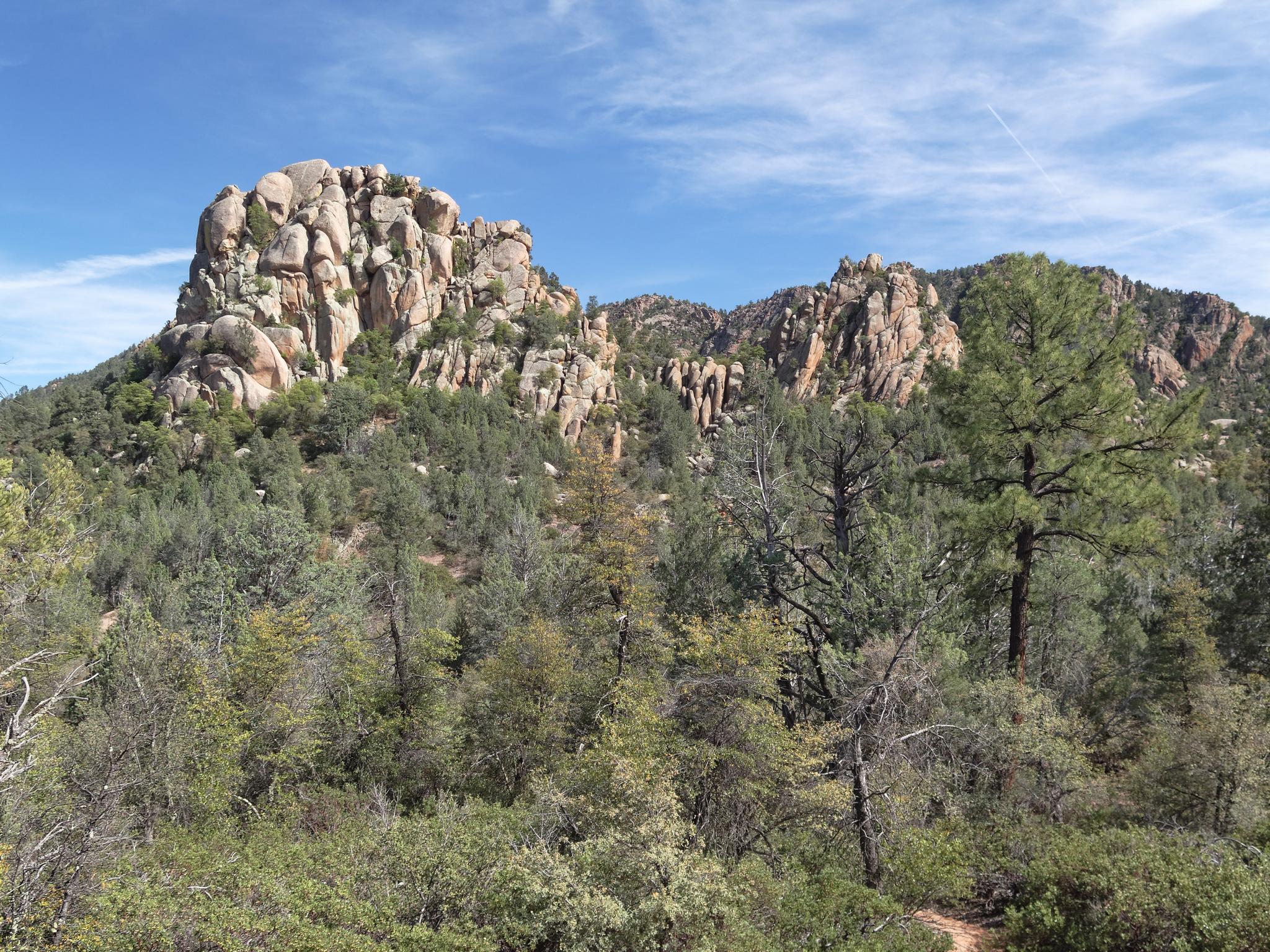 Sunlit rocky peaks rise above a dense green forest under a clear blue sky.