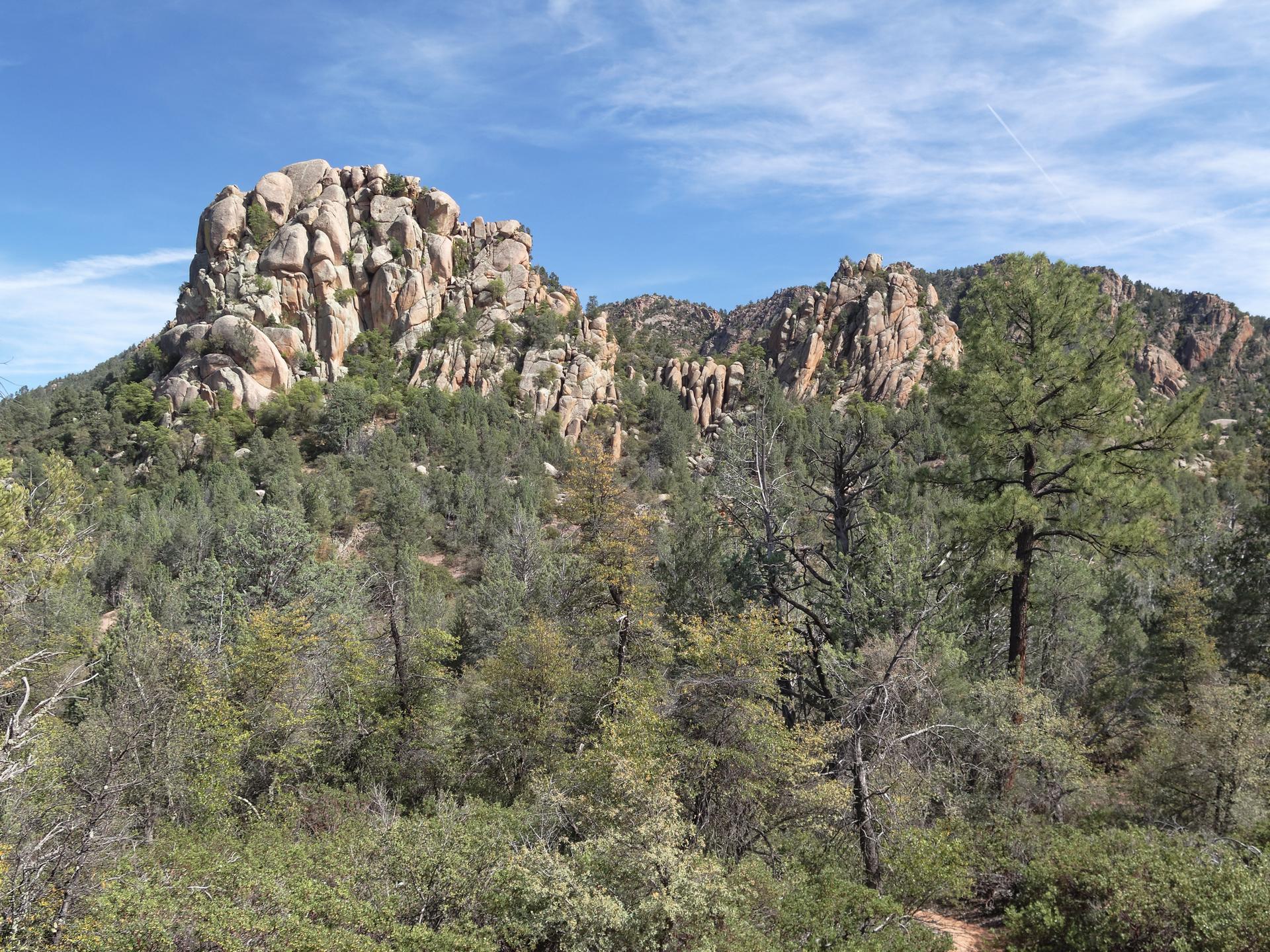 Sunlit rocky peaks rise above a dense green forest under a clear blue sky.