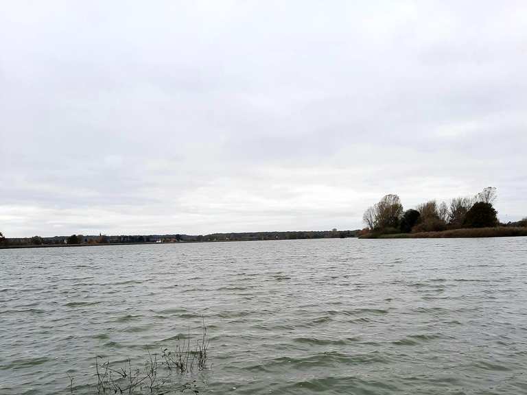 Eschefelder Teiche (Großer Teich) Wanderungen und Rundwege komoot