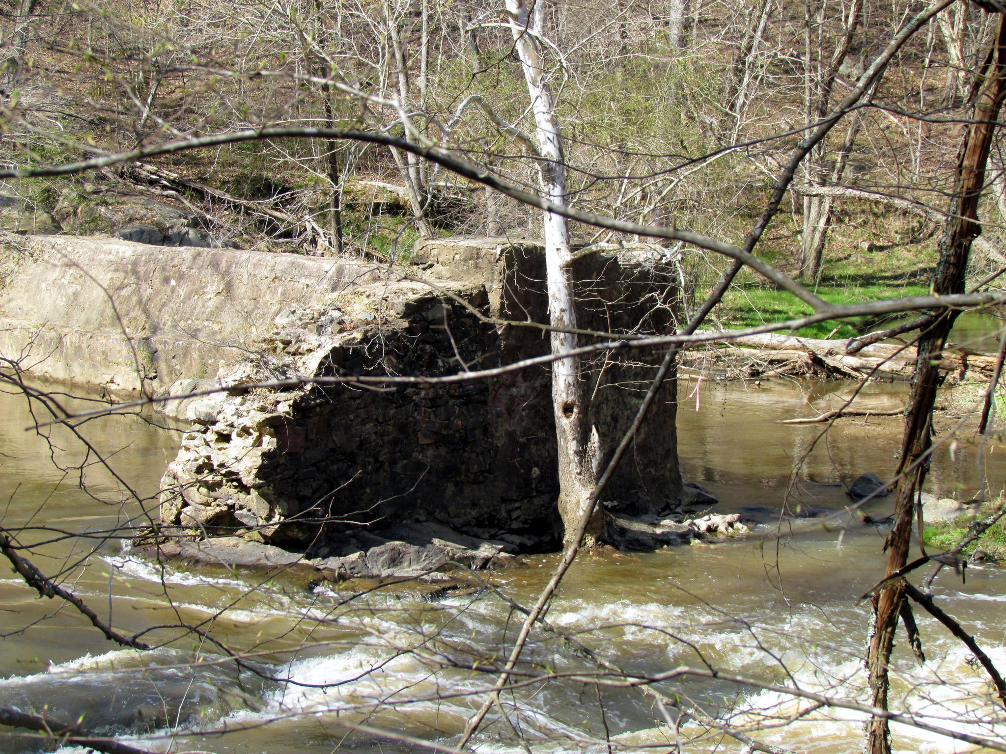 Stone ruins with a tree in a flowing river, surrounded by bare trees.