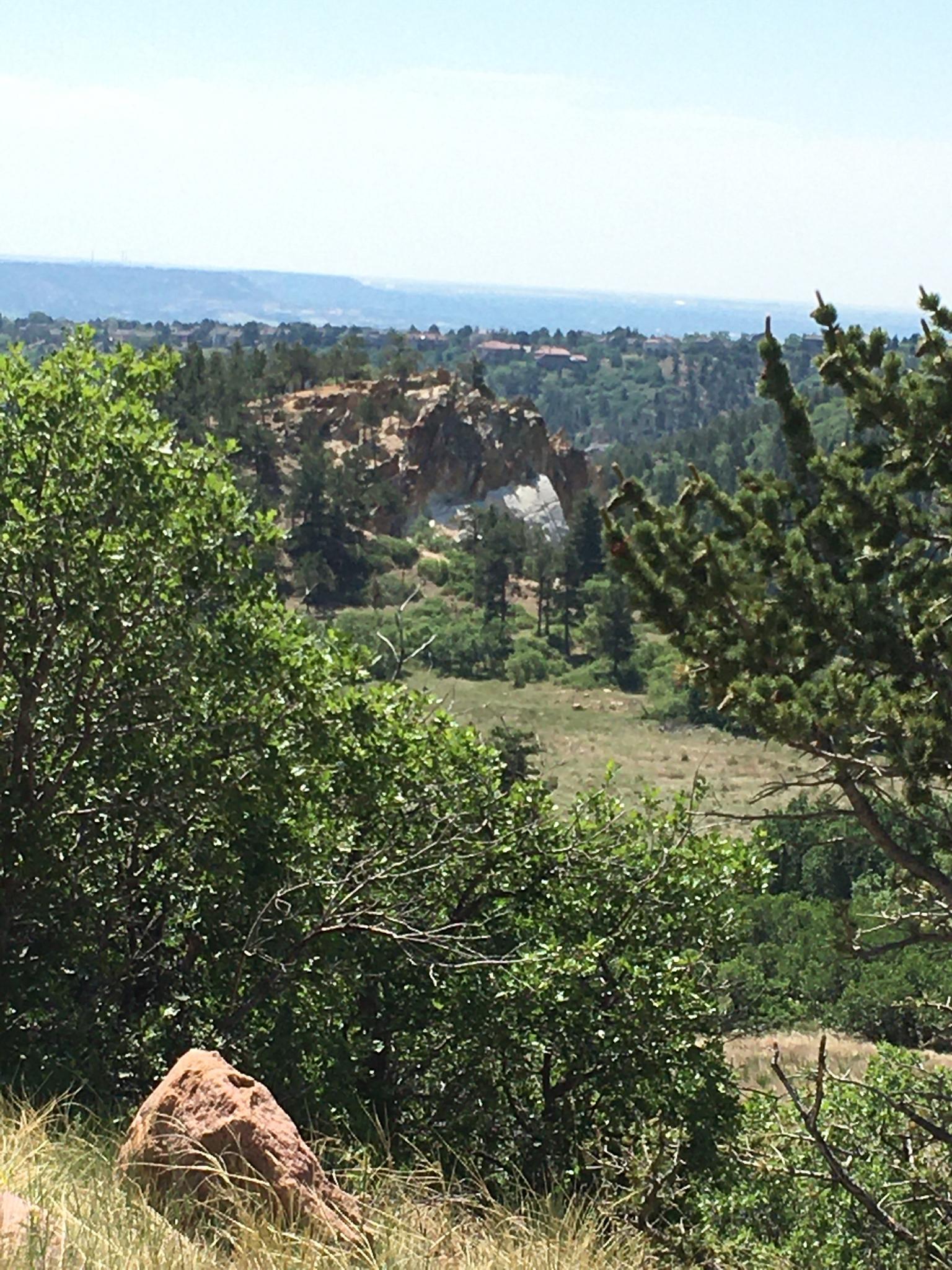 Distant rock formation visible through green trees and brush on a sunny day.