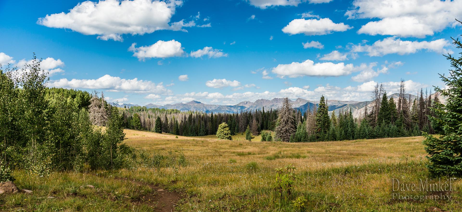 Sunny meadow with distant mountains, bordered by green forests under a blue sky.
