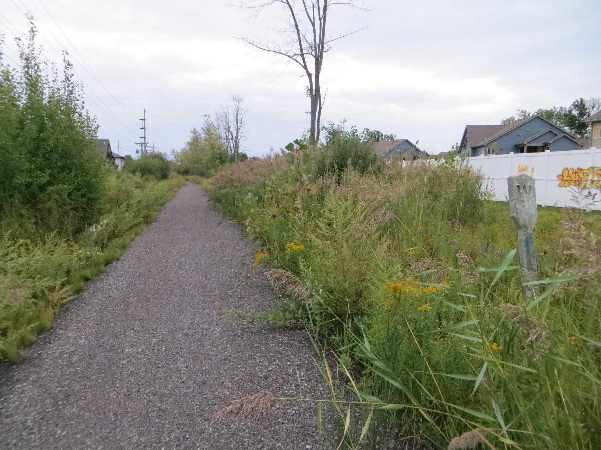 A gravel path winds through tall green and brown vegetation under an overcast sky.