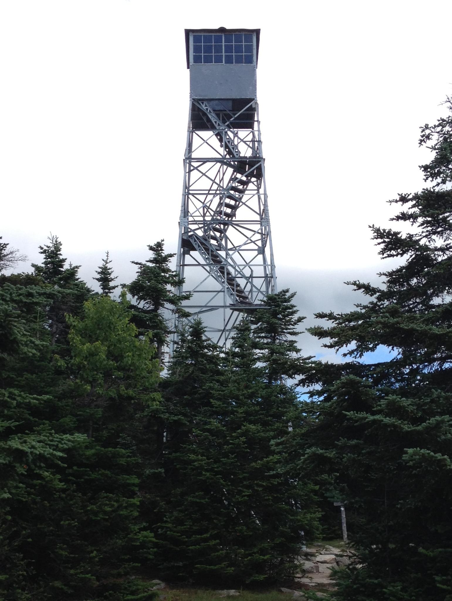 A tall metal fire tower rises above evergreen trees under a cloudy sky.