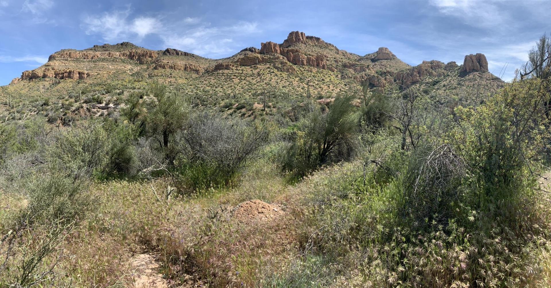 Desert landscape with green bushes, rocky mountains, and a partly cloudy sky.