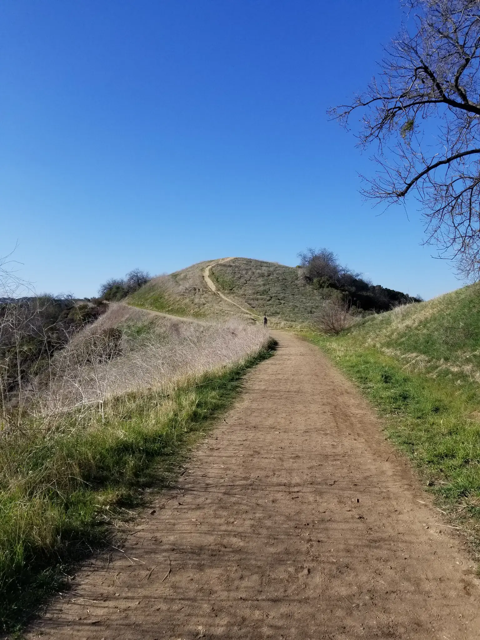 A dirt path leads up a grassy hill under a bright blue sky.