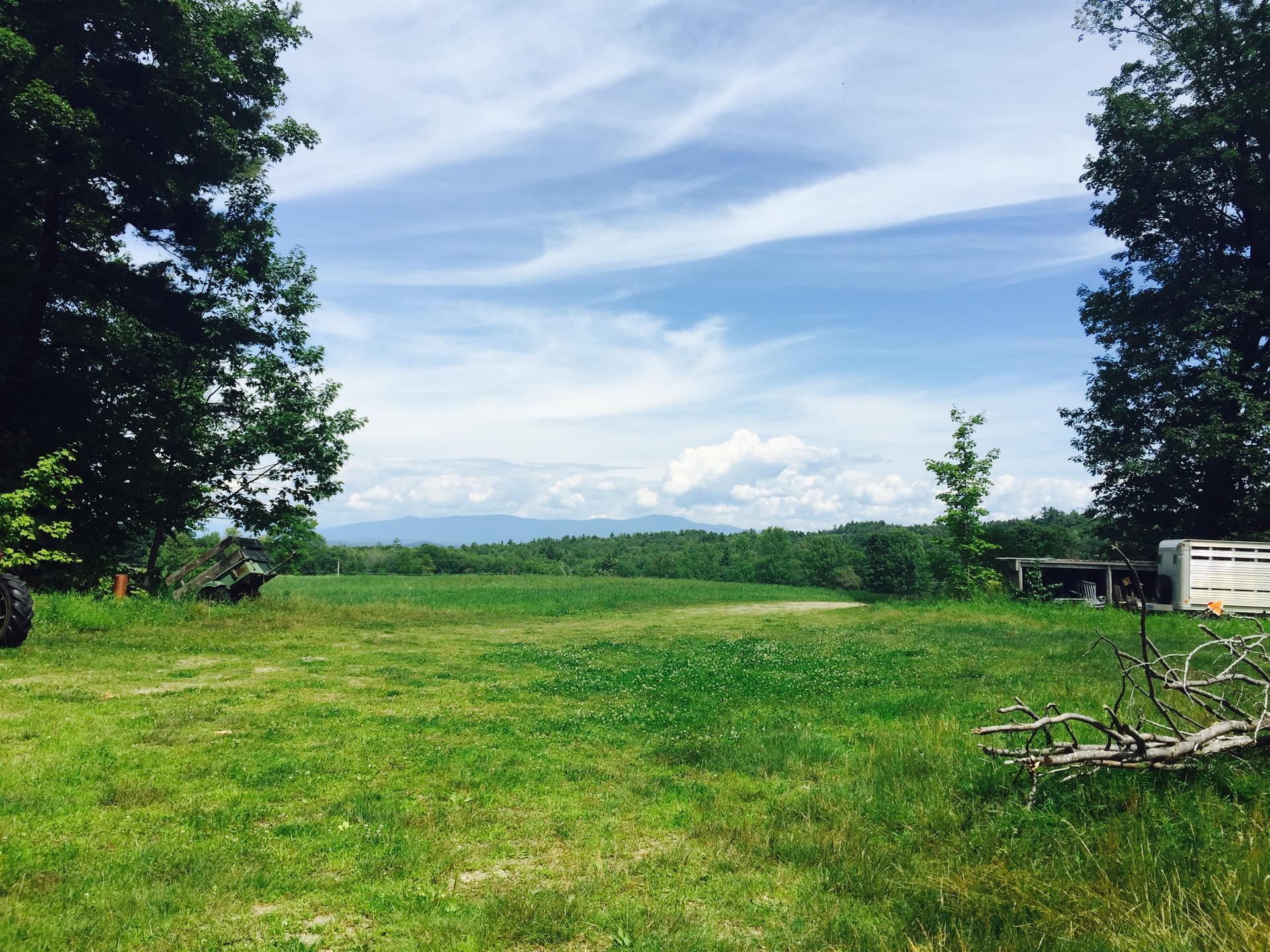 Bright green field framed by trees, with distant mountains under a cloudy sky.
