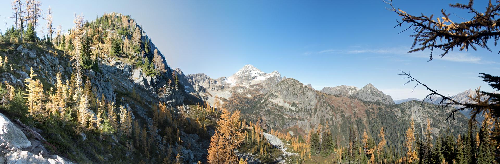 Panoramic view of mountains with golden larch trees under a clear sky.