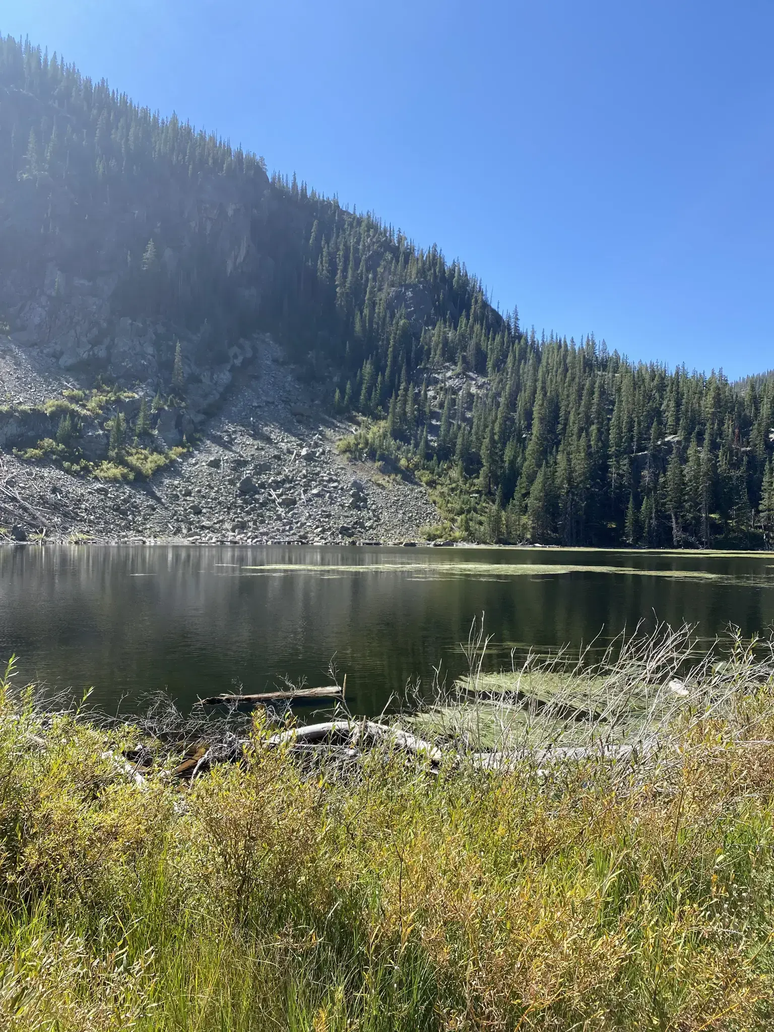 Sunny mountain lake with a steep, rocky slope and pine trees in the background.