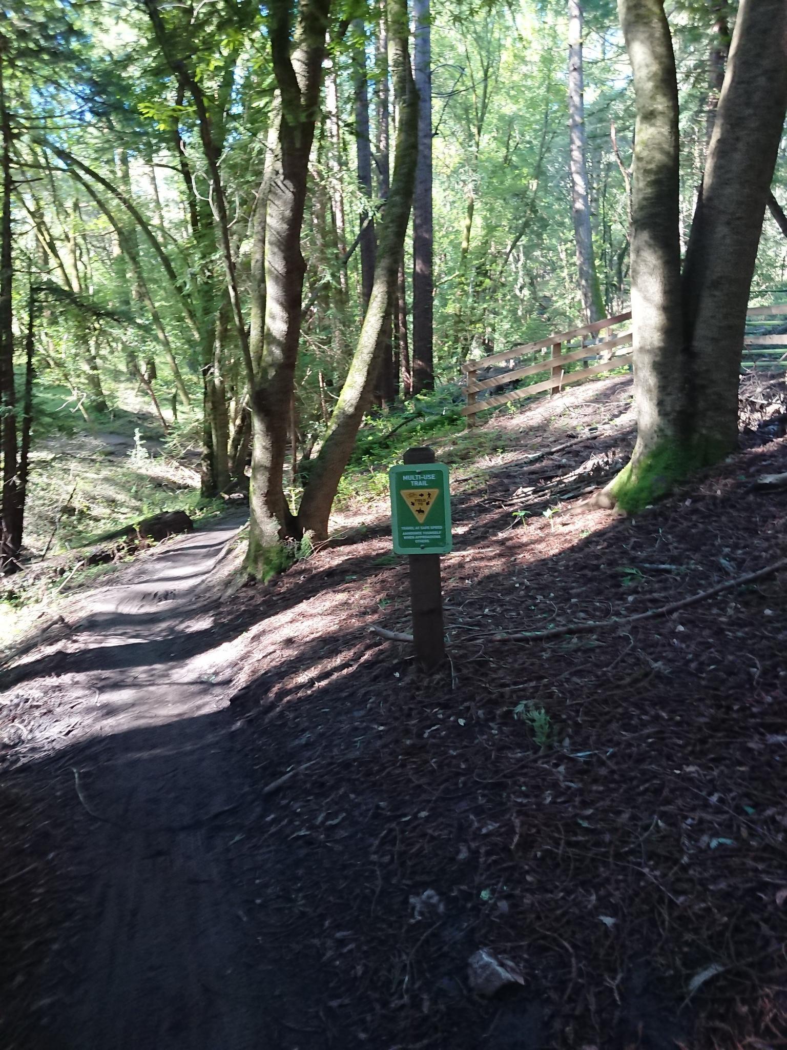 Green trail sign on a post beside a shaded dirt path in a forest.
