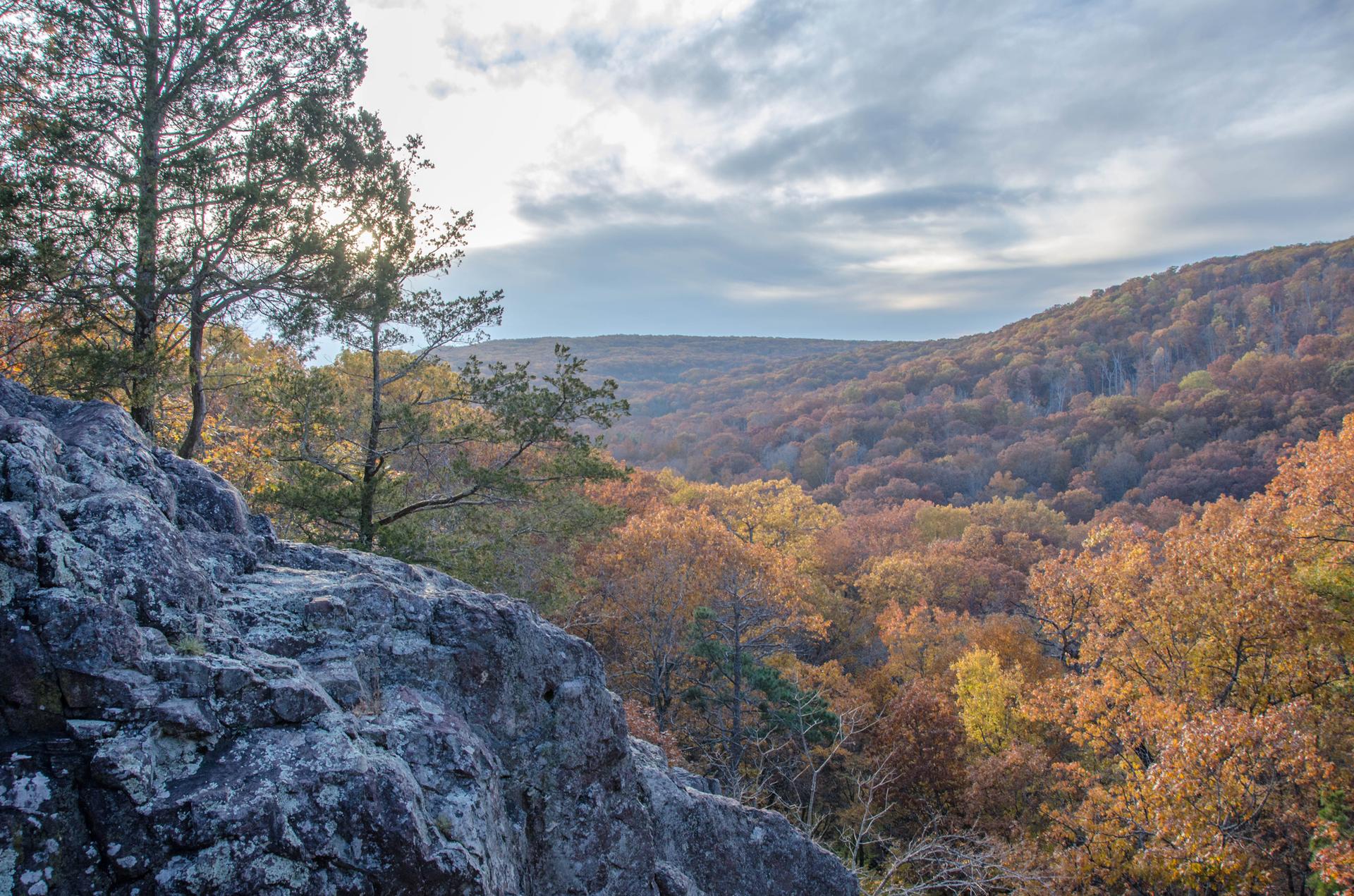 Rocky outcrop overlooks a vast autumn forest under a cloudy sky.