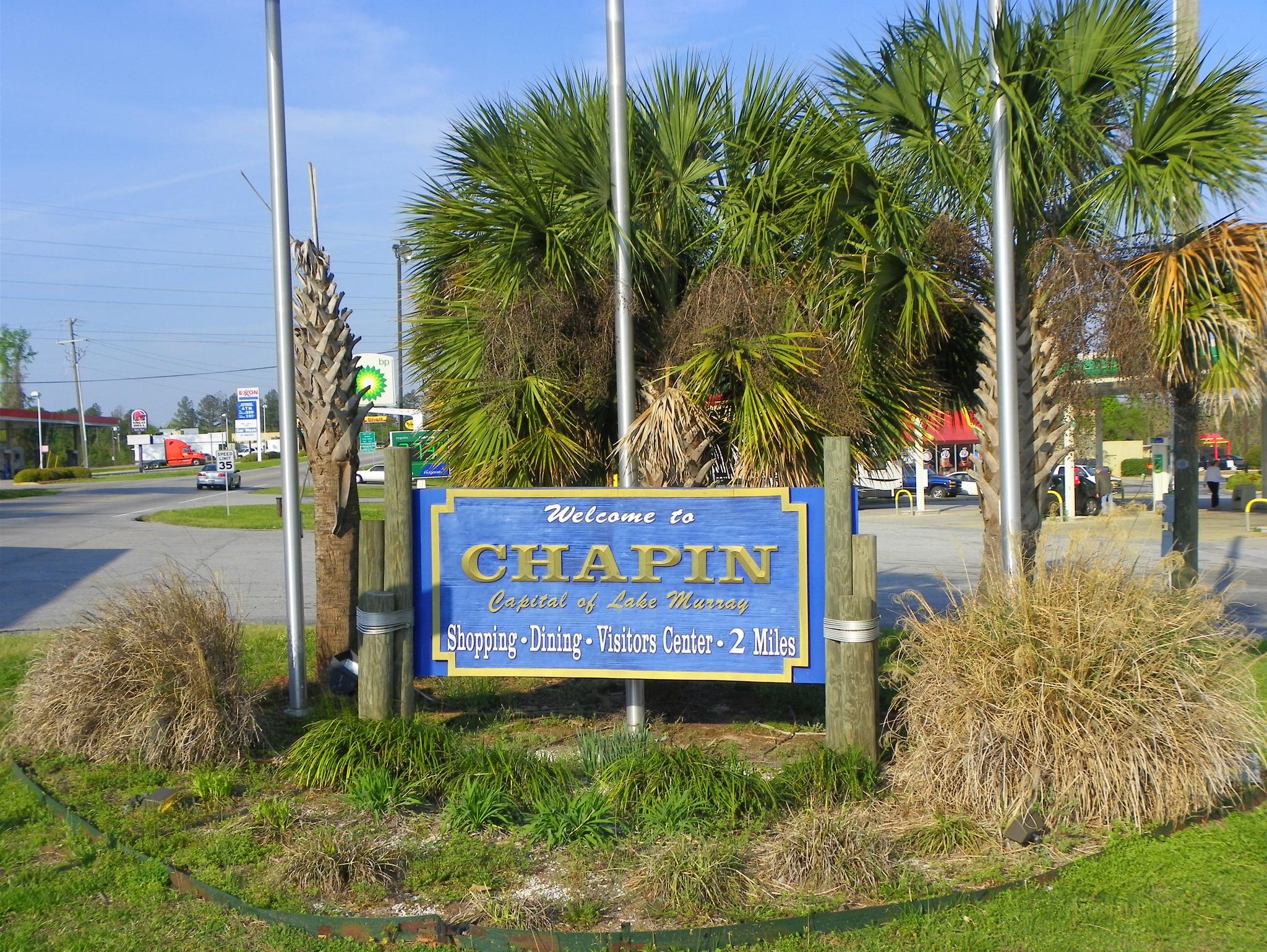 A blue welcome sign surrounded by palm trees and dry grass.