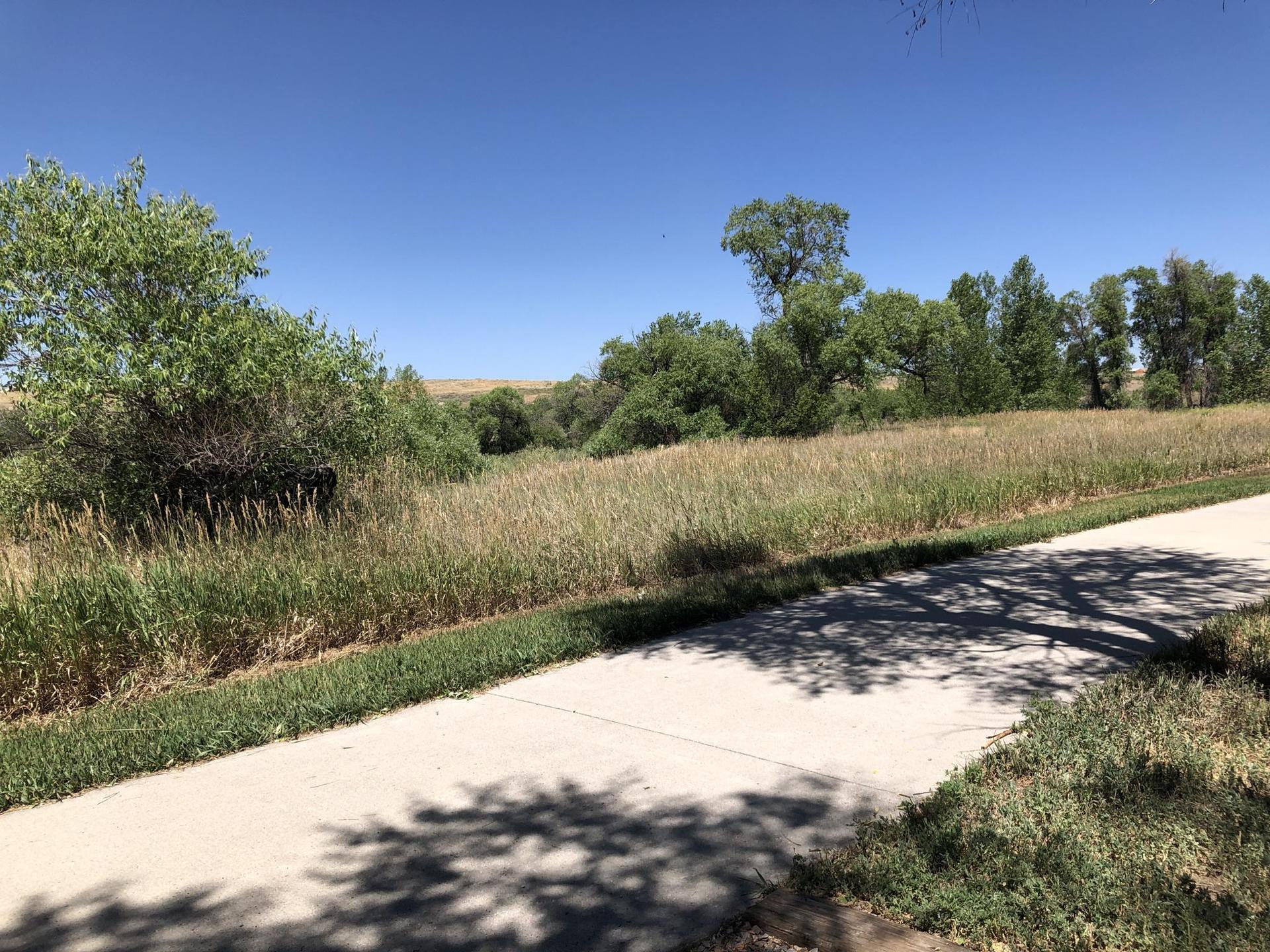 Paved path with tree shadows beside a sunny grassy field and distant hills.