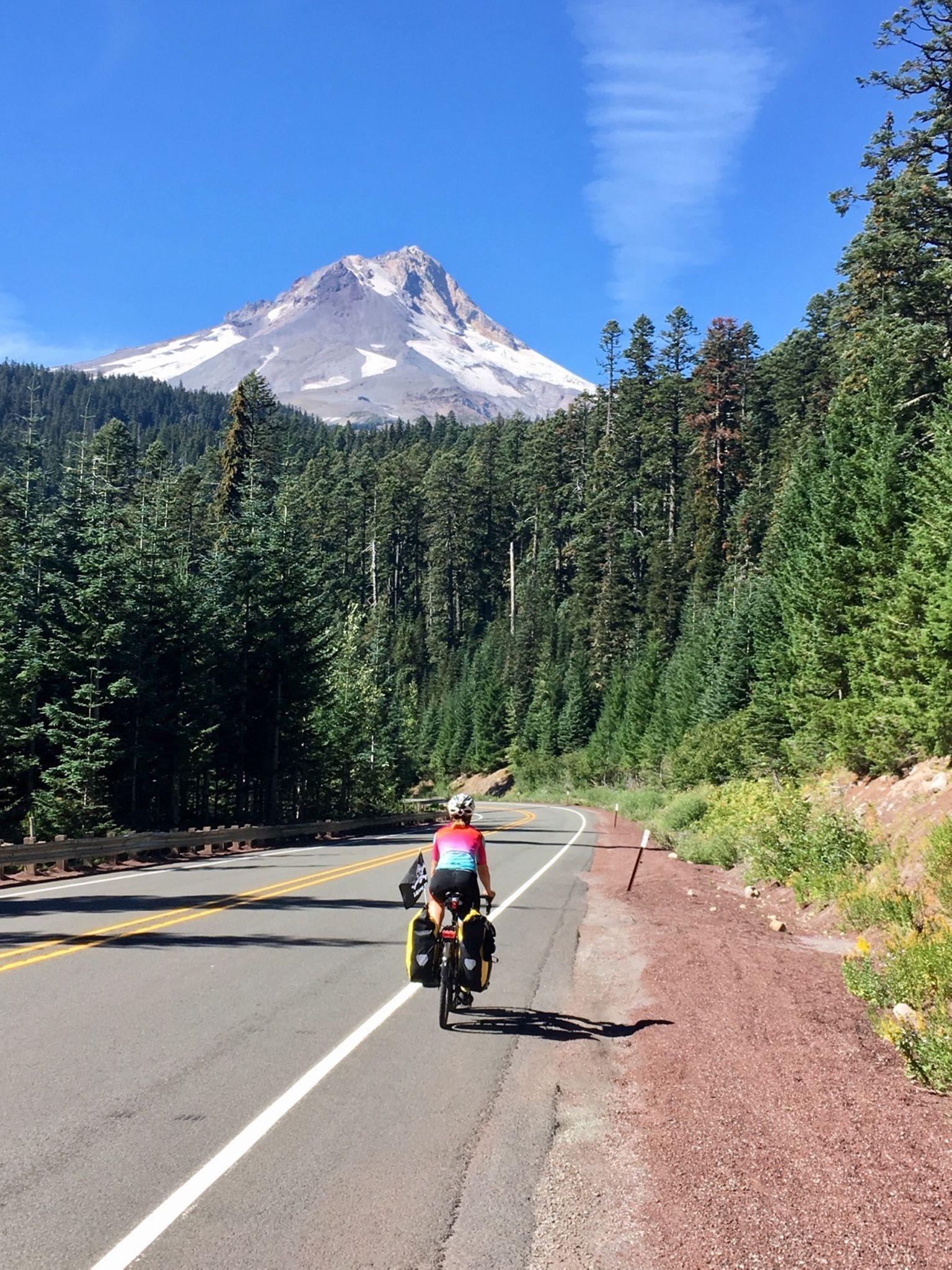 Cyclist on a sunny road with a snow-capped mountain and pine forest.