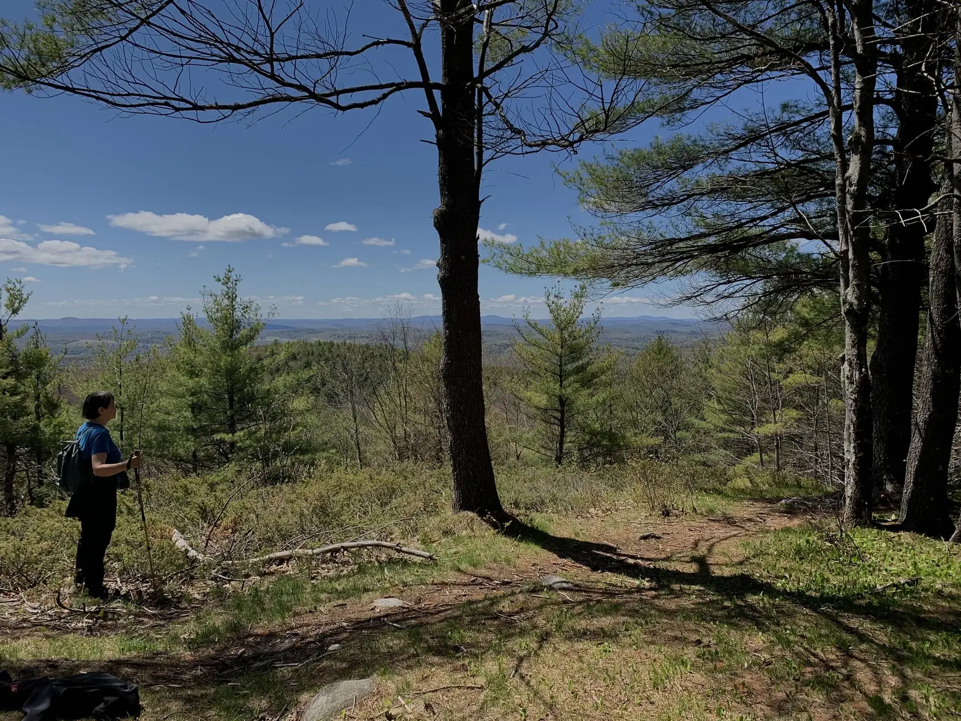 Hiker with poles views a sunny, forested valley from a shaded overlook.