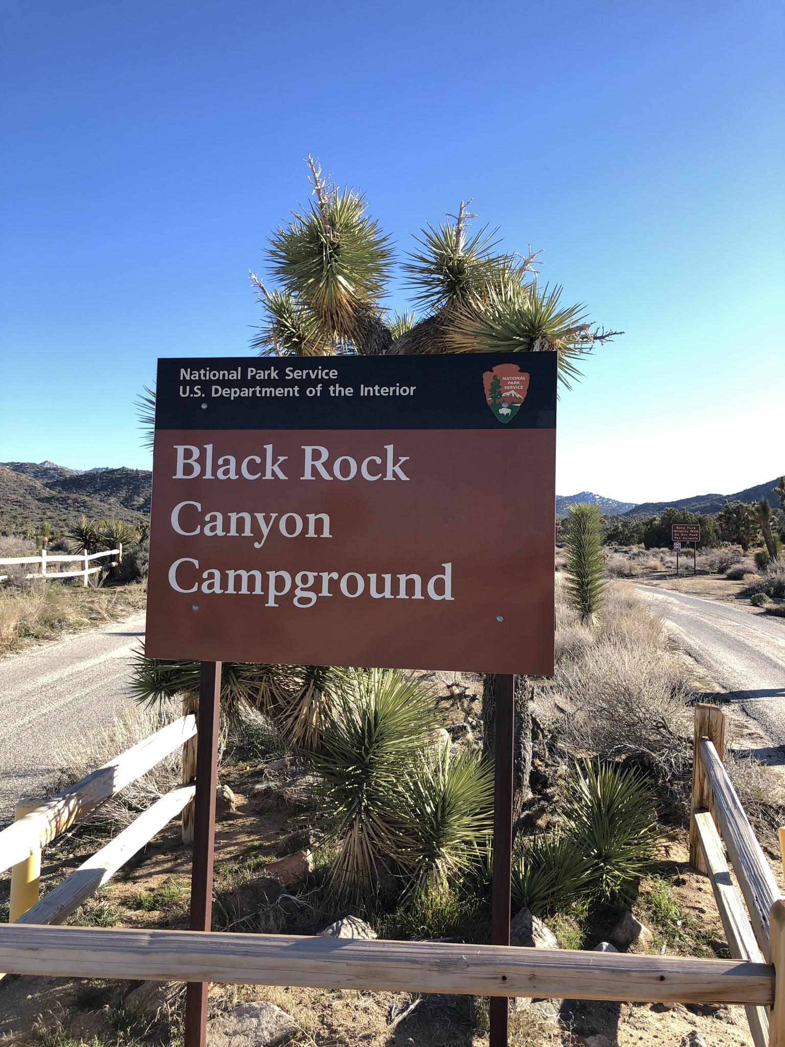 Brown campground sign amidst desert vegetation, dirt road, and clear blue sky.