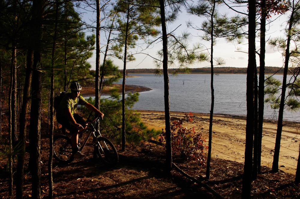 A mountain biker pauses in a sun-dappled forest overlooking a wide lake.