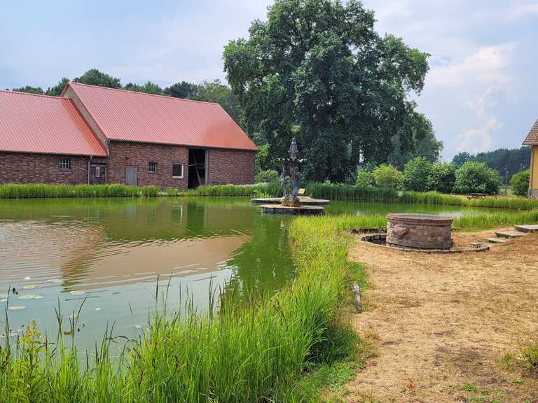 Gut Gollin - Hofladen und Baumhaushotel fietsroutes en kaart | Komoot
