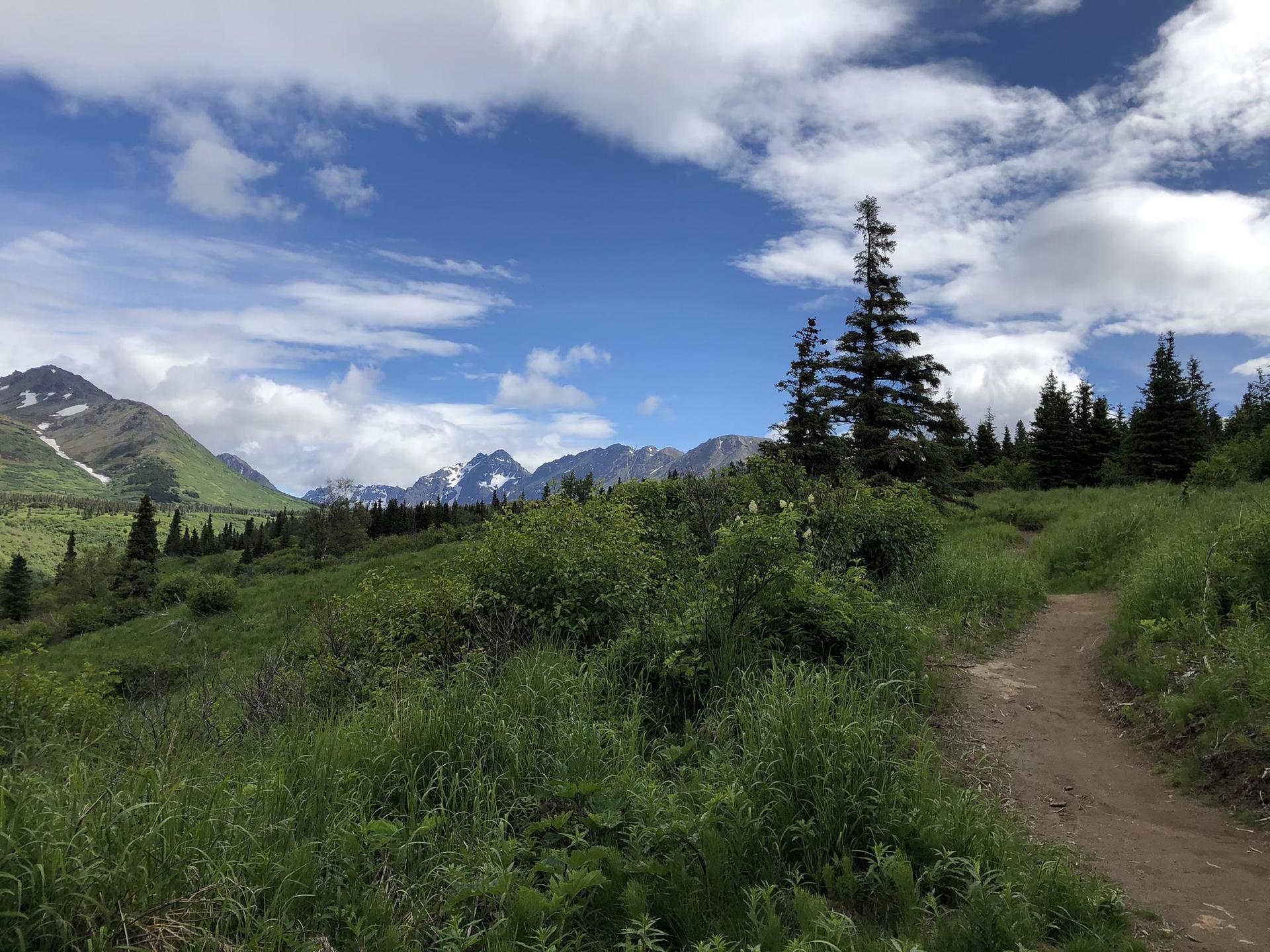 A dirt trail winds through lush green hills with distant snow-capped mountains.