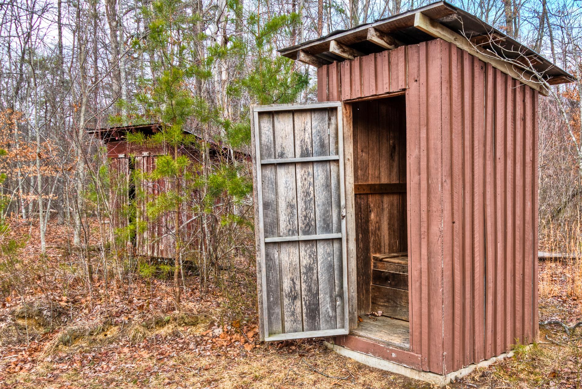 Two rustic wooden outhouses stand in a sparse forest with fallen leaves.