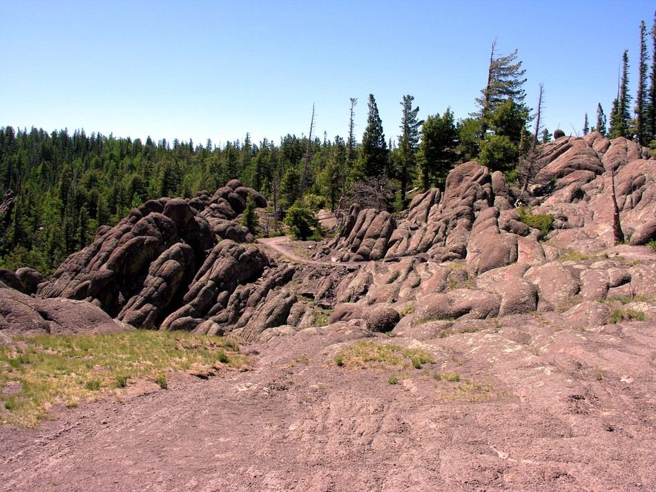 Rocky landscape with a dirt path winding through pine trees on a bright day. - Mount Baldy Trail loop