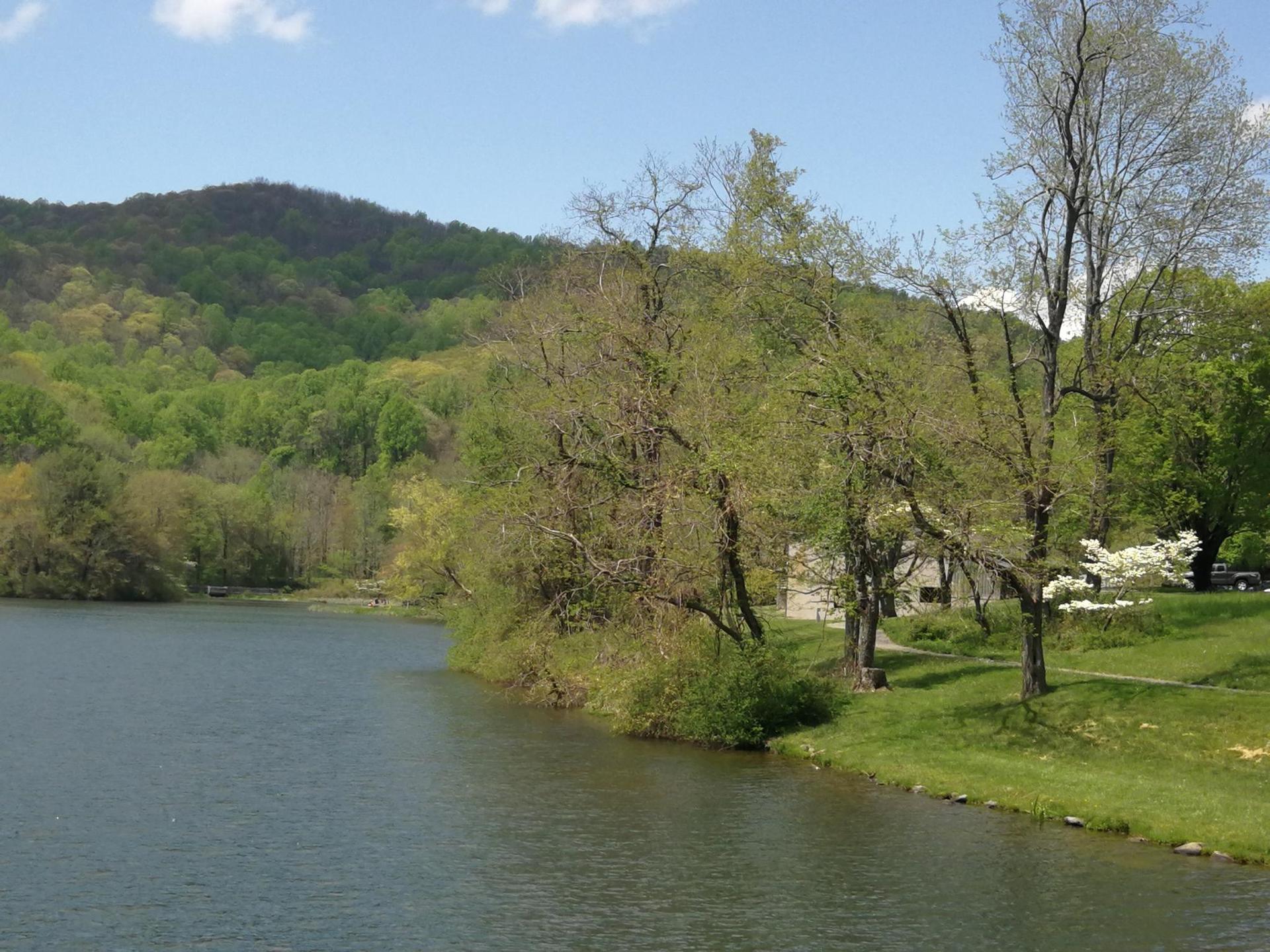 Calm lake with green hills and trees under a bright, partly cloudy sky.