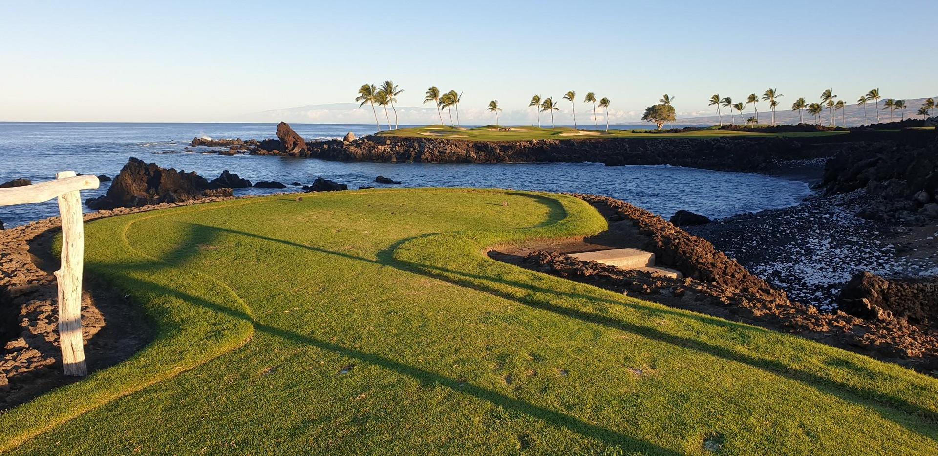 Sunny golf course tee box overlooking a rocky ocean with palm trees.
