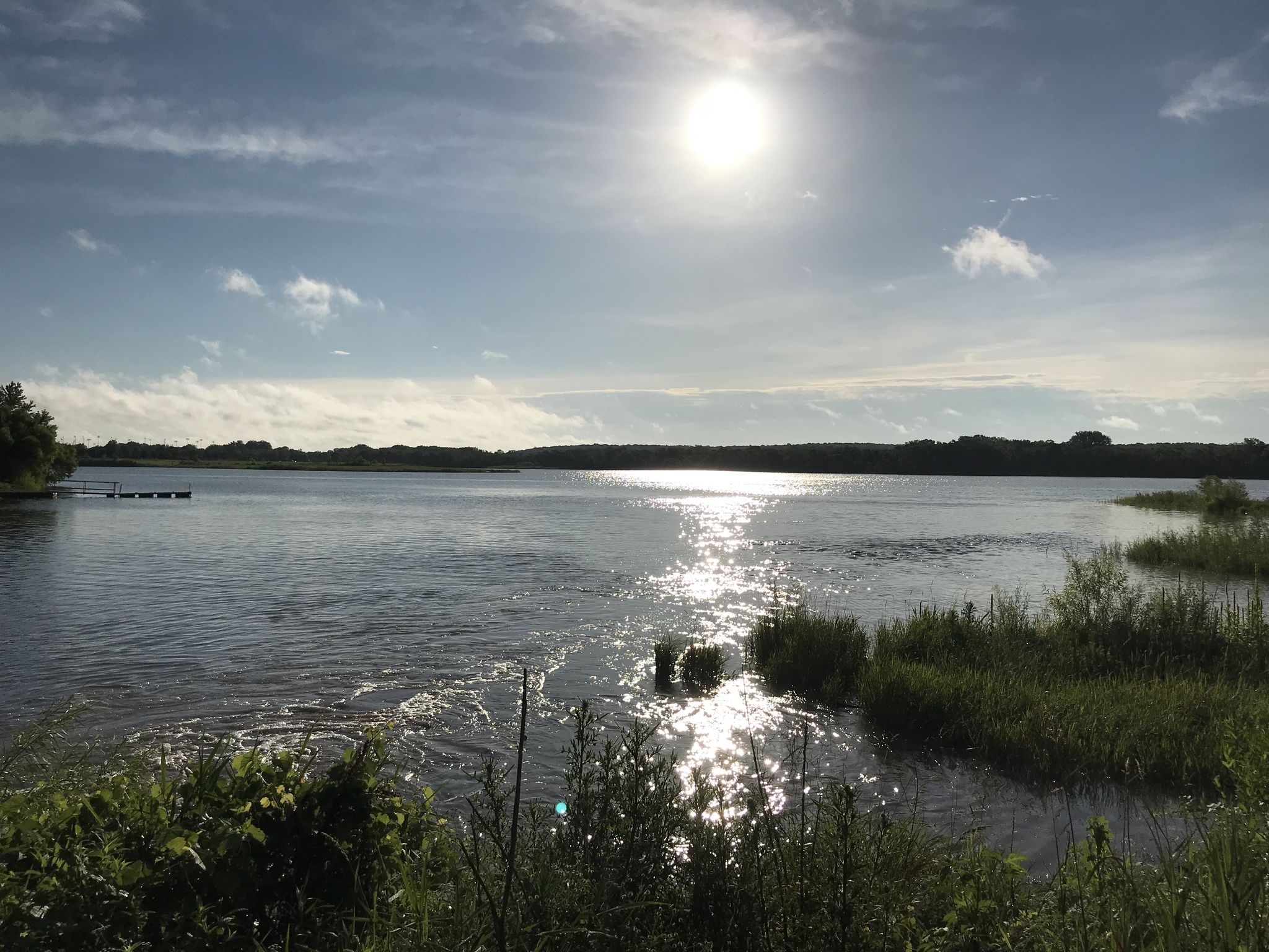 Bright sun reflecting on a wide lake with marshy foreground and distant trees. - Raccoon River Park Trail