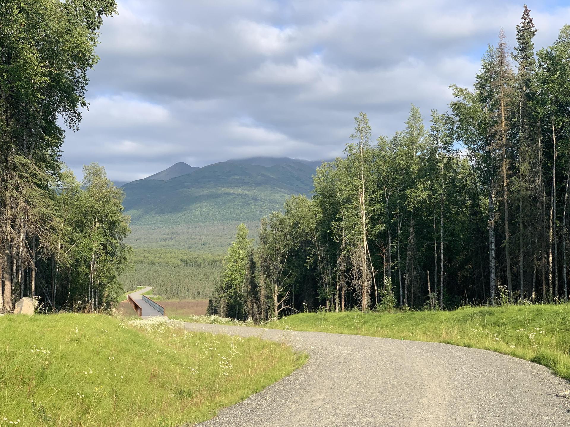 Gravel road winding through green trees with distant mountains under a cloudy sky.