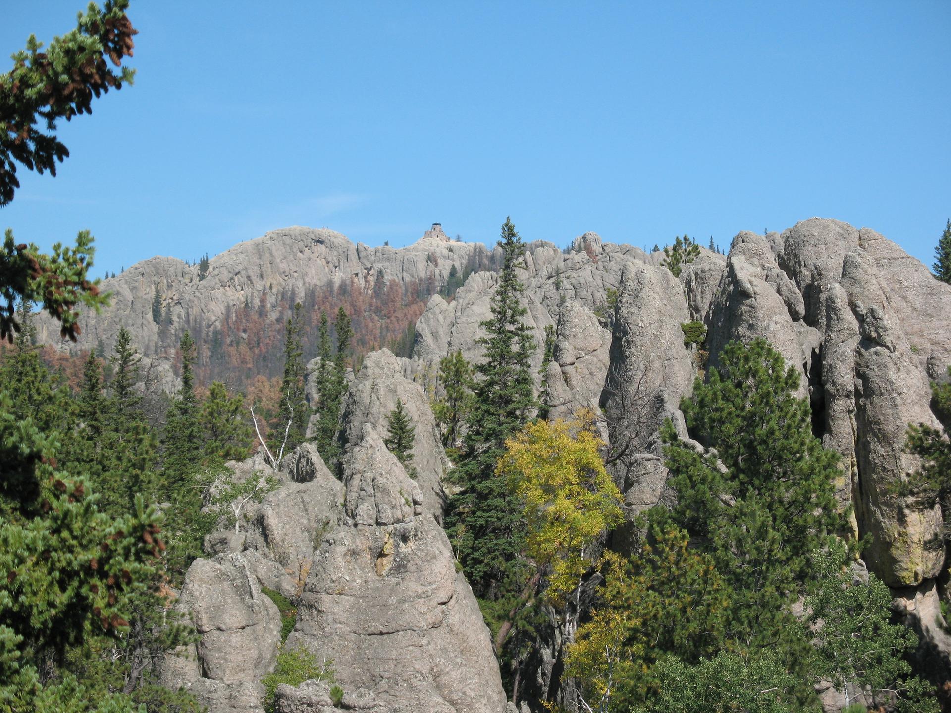 Rugged rocky peaks and green pine trees under a clear blue sky.