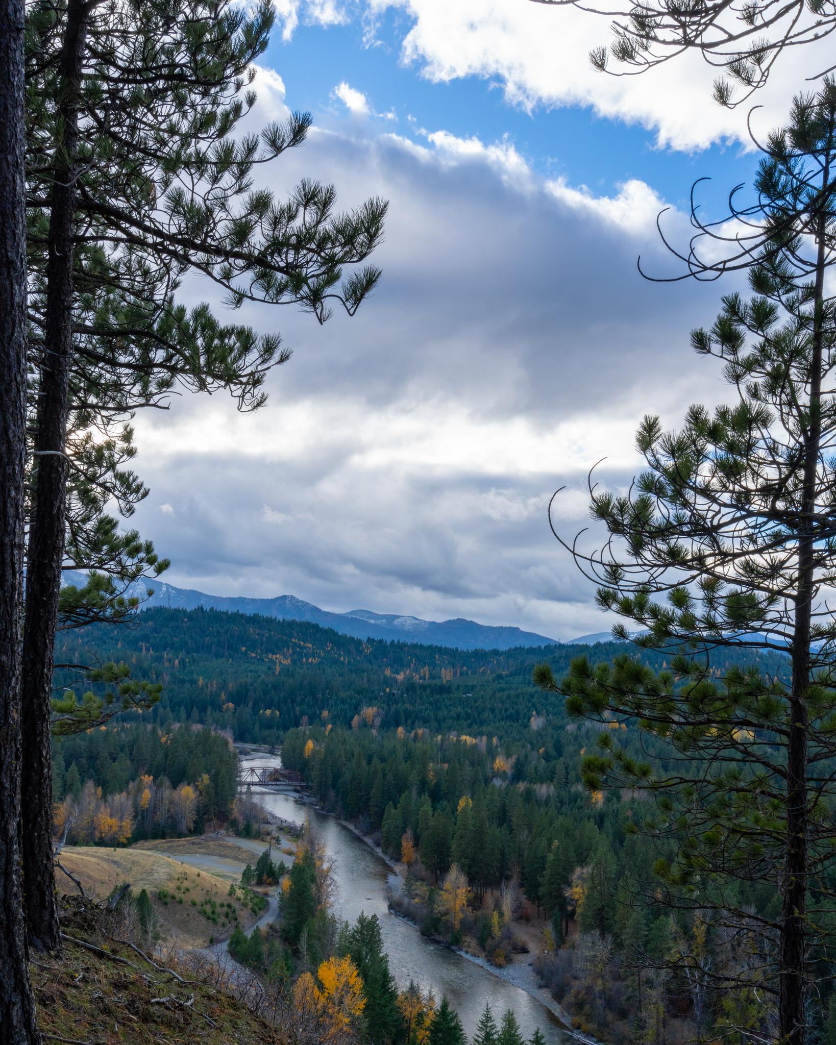 Pine trees frame a river flowing through a valley with autumn trees and mountains.