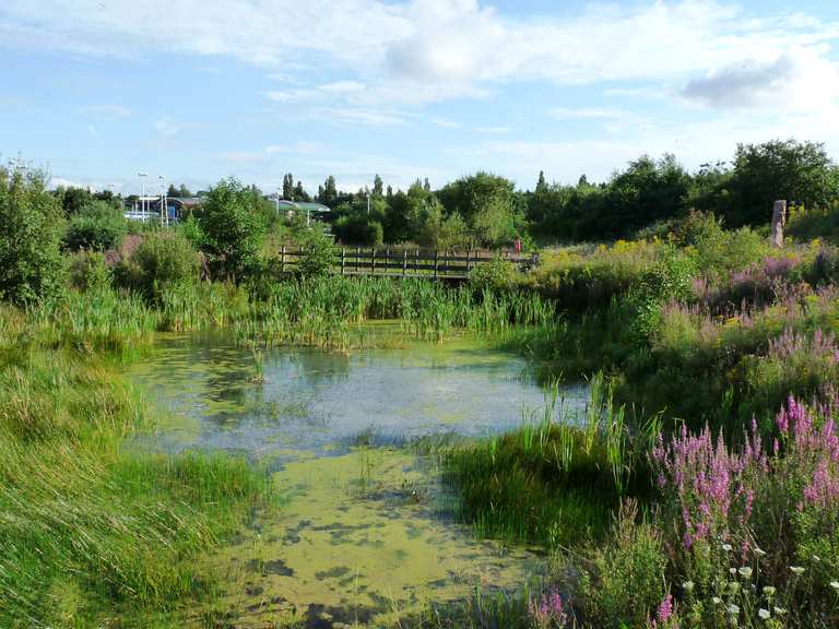 Grangemoor Park Wanderungen und Rundwege komoot