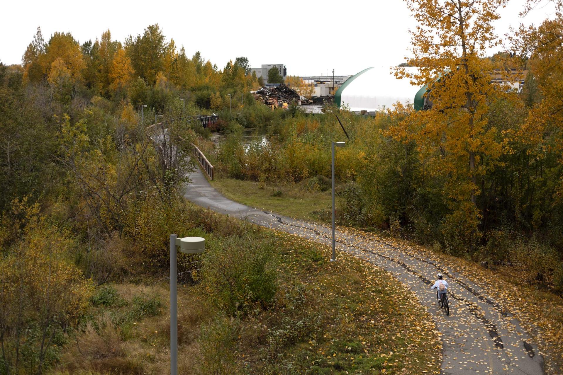 Person cycling on a winding path through autumn trees under an overcast sky.