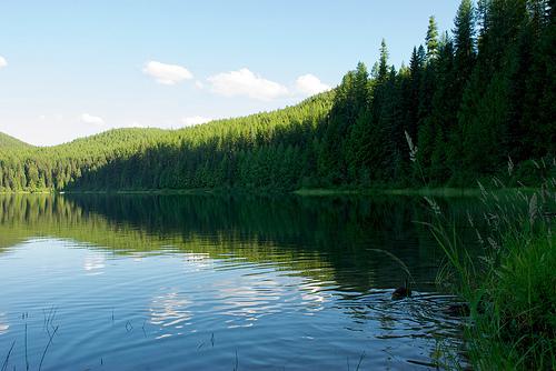 Serene lake reflecting a sunlit forested hillside under a bright blue sky.
