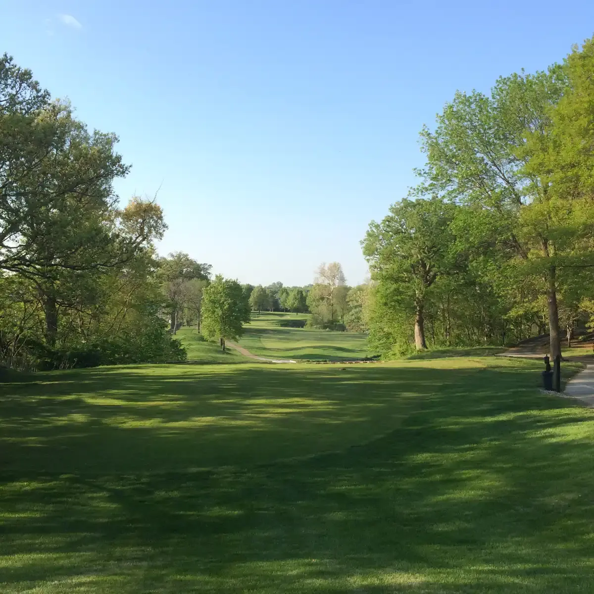 Expansive green golf course under a clear blue sky, lined with trees.