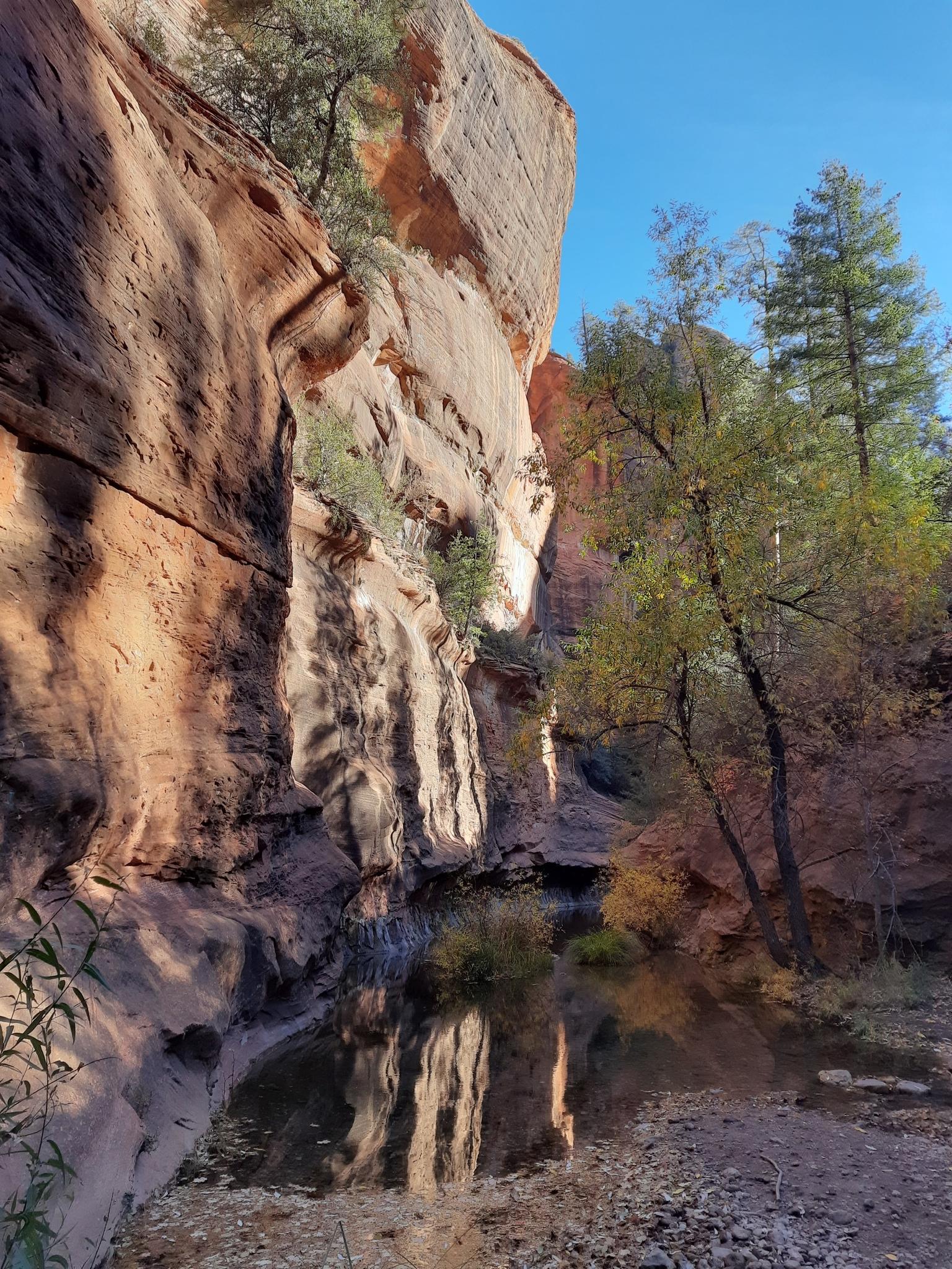 Golden light illuminates a red rock cliff reflecting in calm water, with trees.