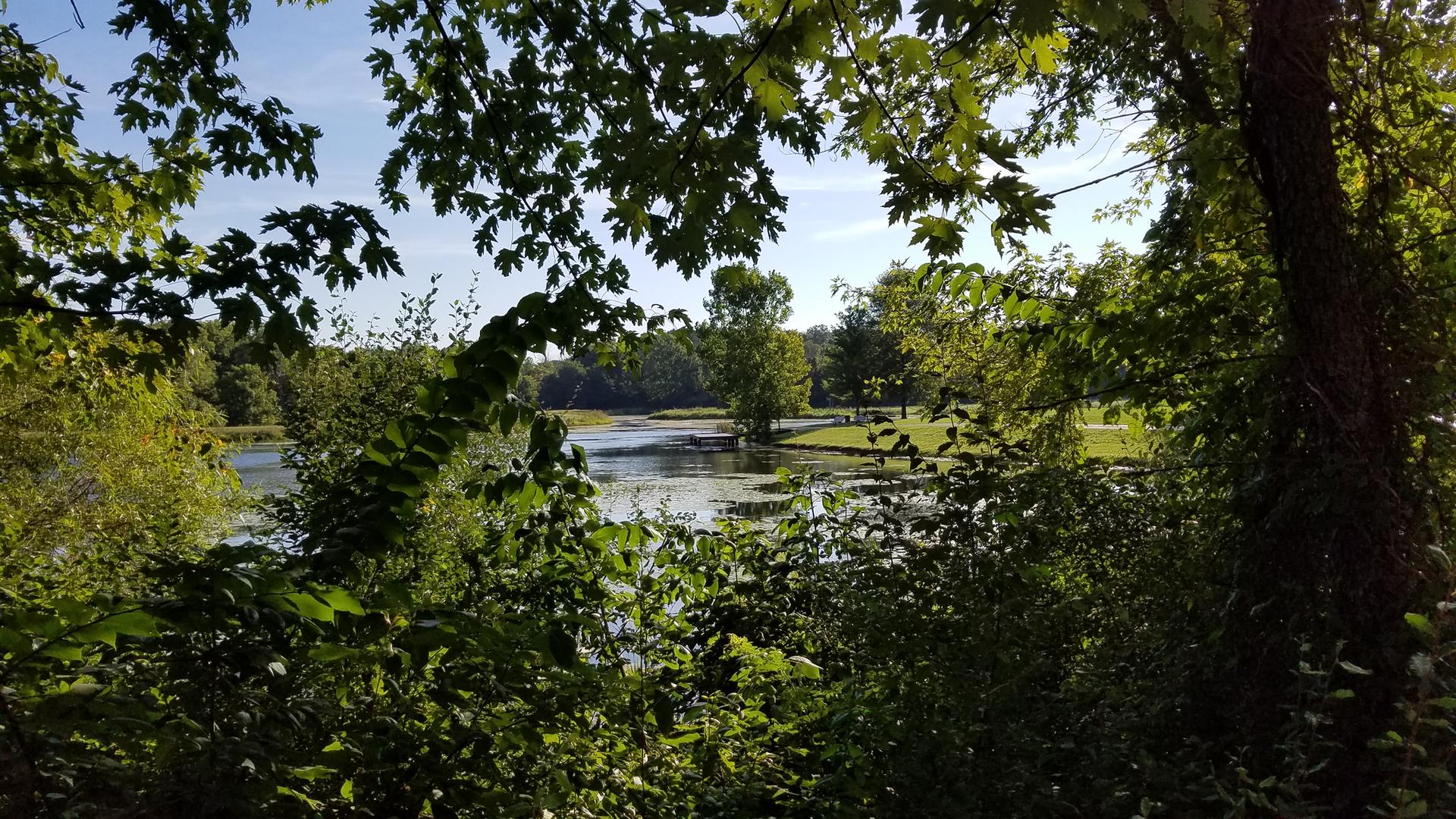 A lake is visible through green foliage on a bright, sunny day.