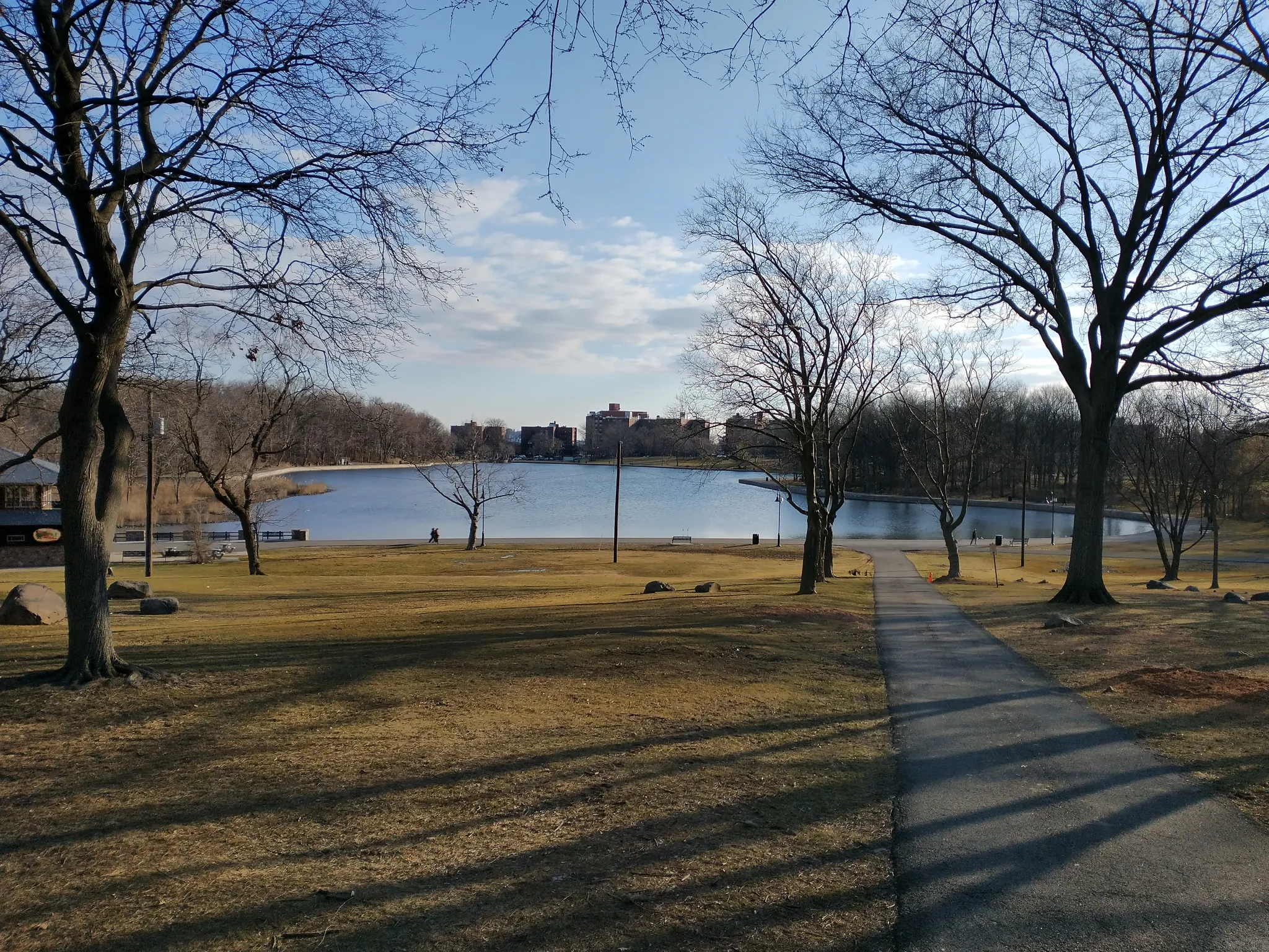 Sunny park with bare trees and a path leading to a lake. - James J. Braddock Park loop — North Bergen, New Jersey