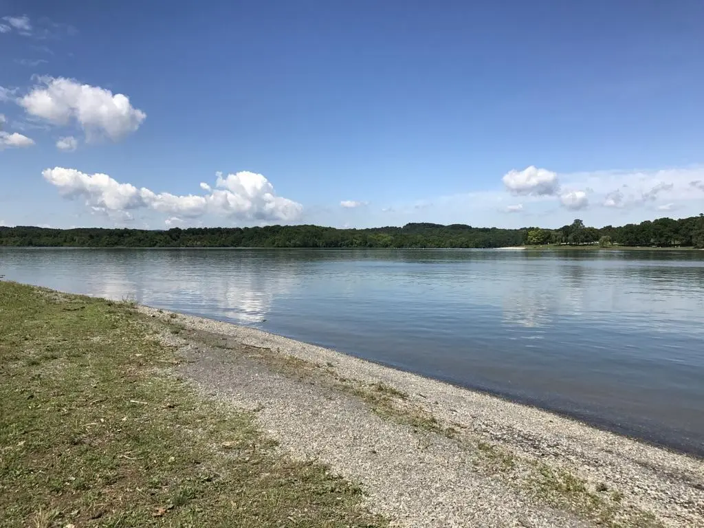 A calm lake reflects a bright blue sky with clouds, bordered by a green bank.