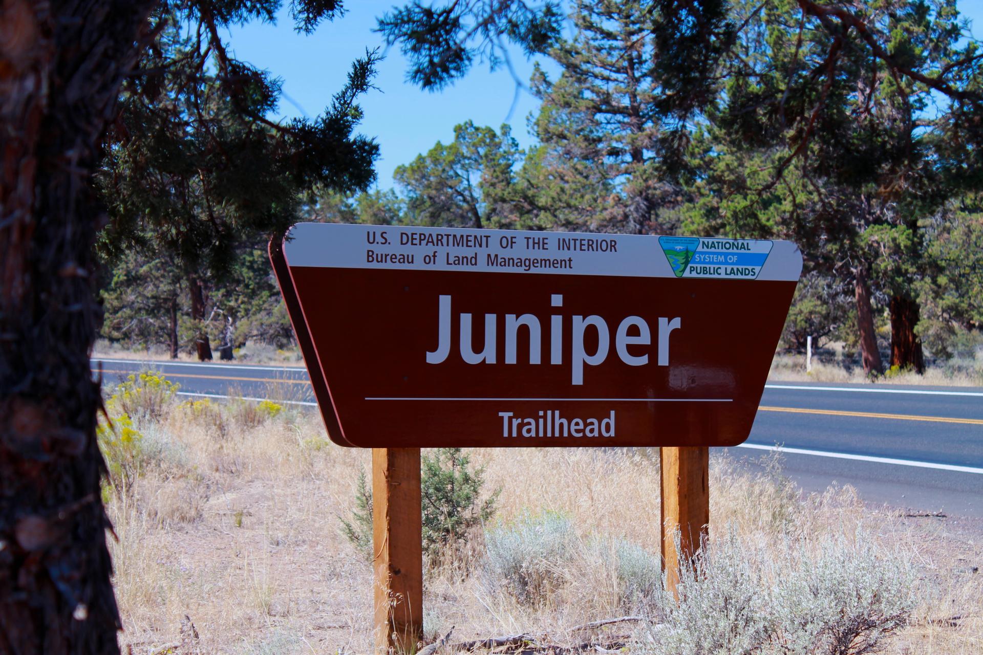 Brown 'Juniper Trailhead' sign by a road, framed by pine trees.