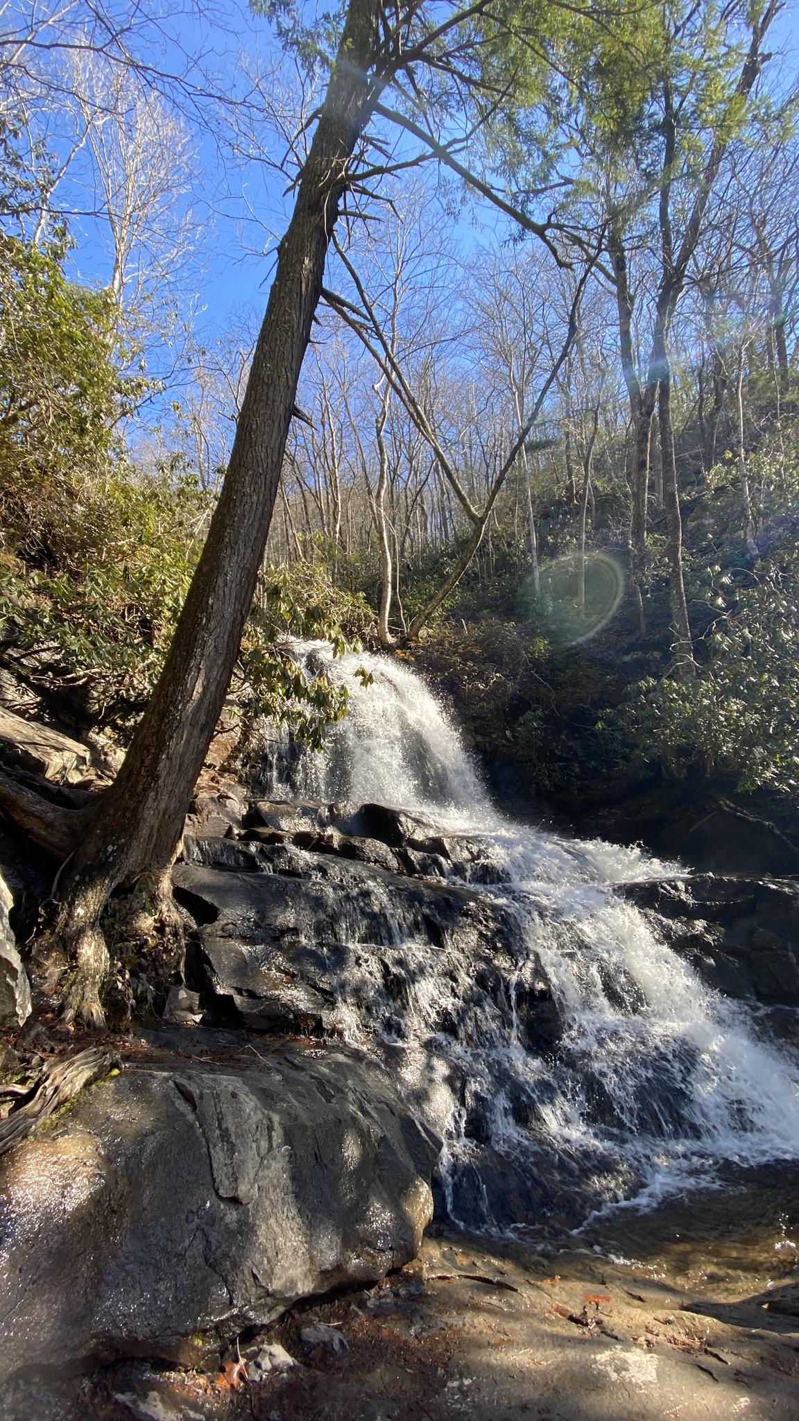 Bright waterfall cascading over dark rocks in a sunny forest.
