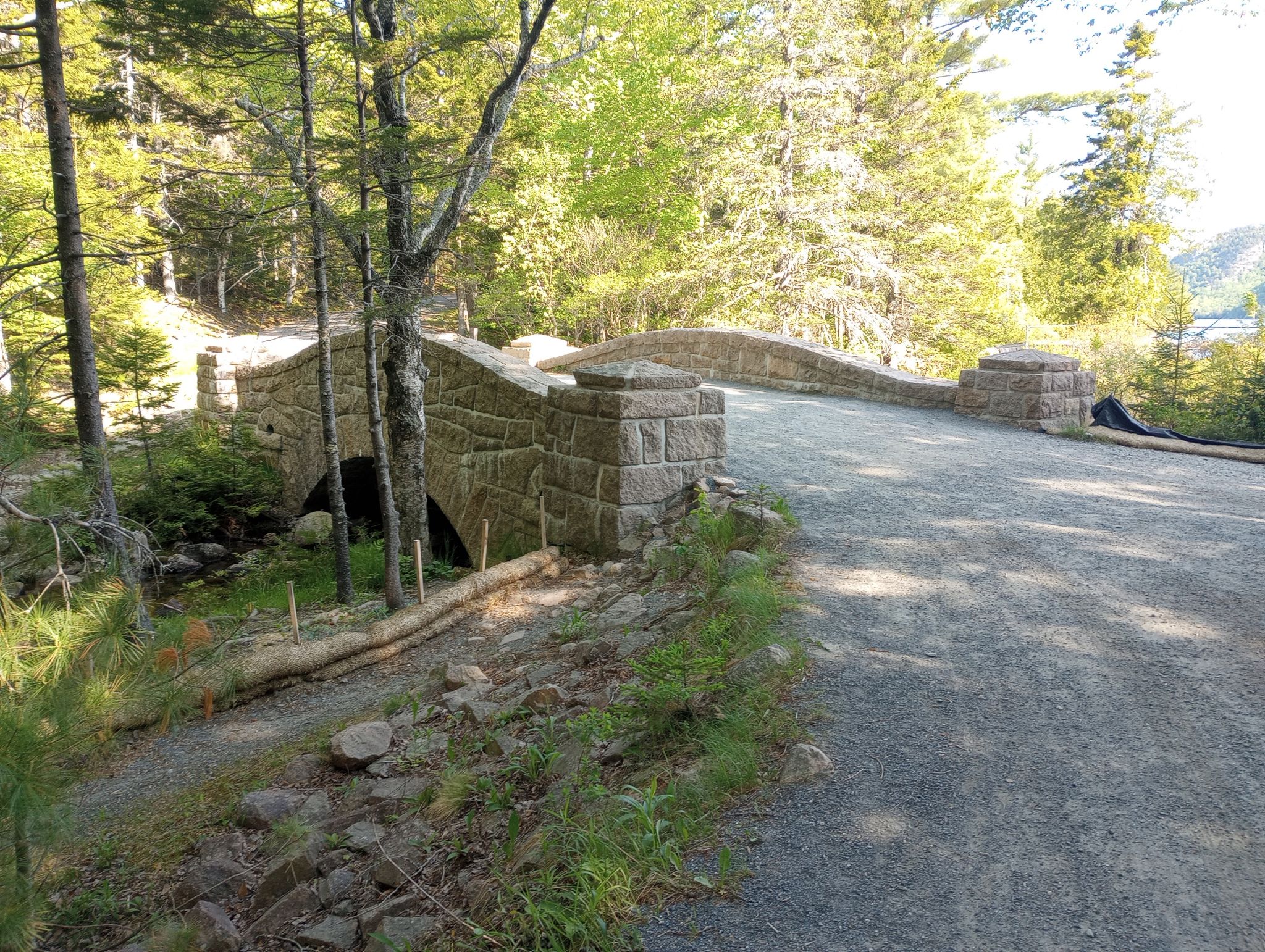 Historic stone arch bridge with a gravel path, surrounded by sunlit forest. - Pemetic Mountain Loop