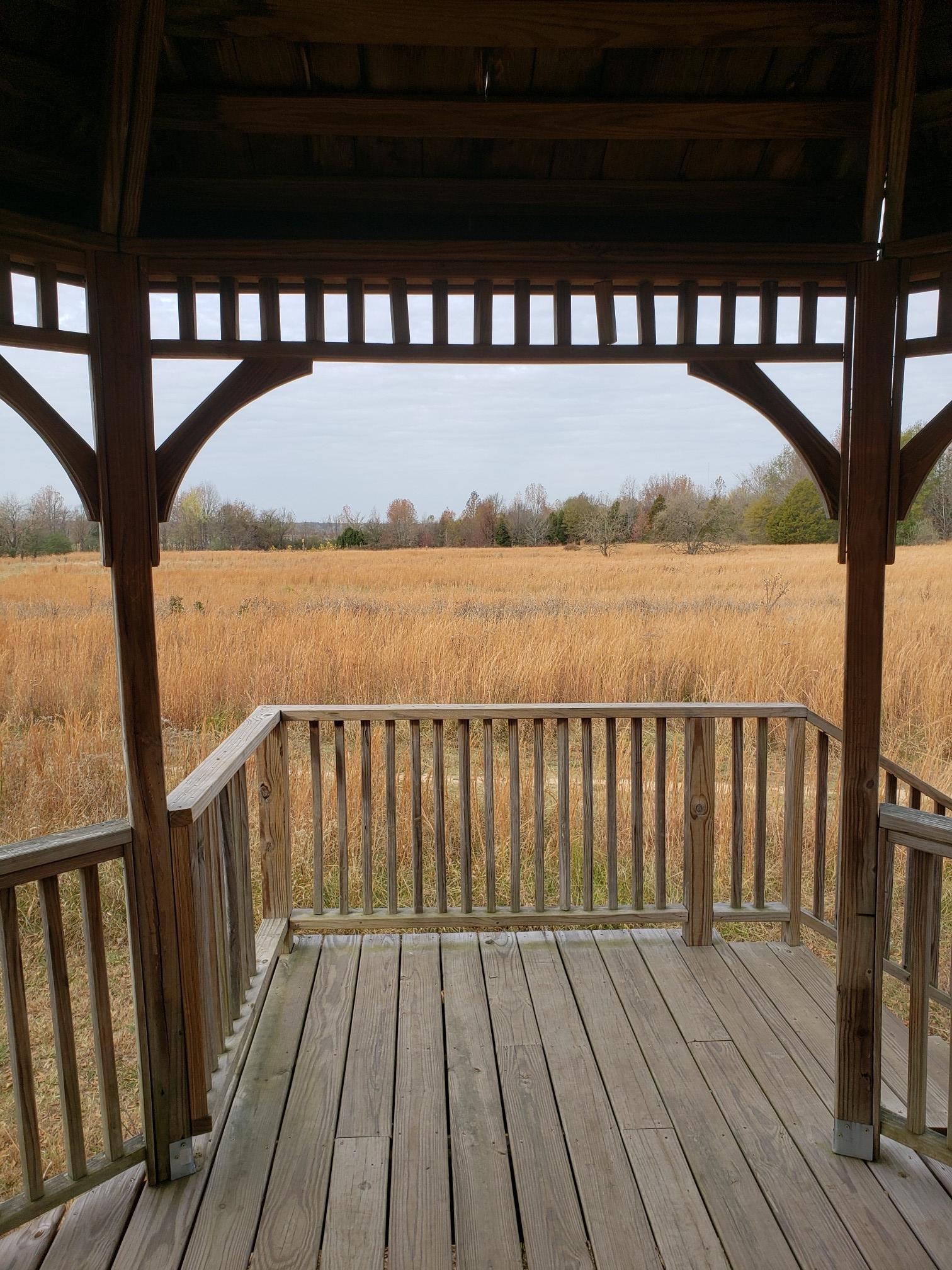 View from a wooden gazebo overlooking a golden field under an overcast sky.