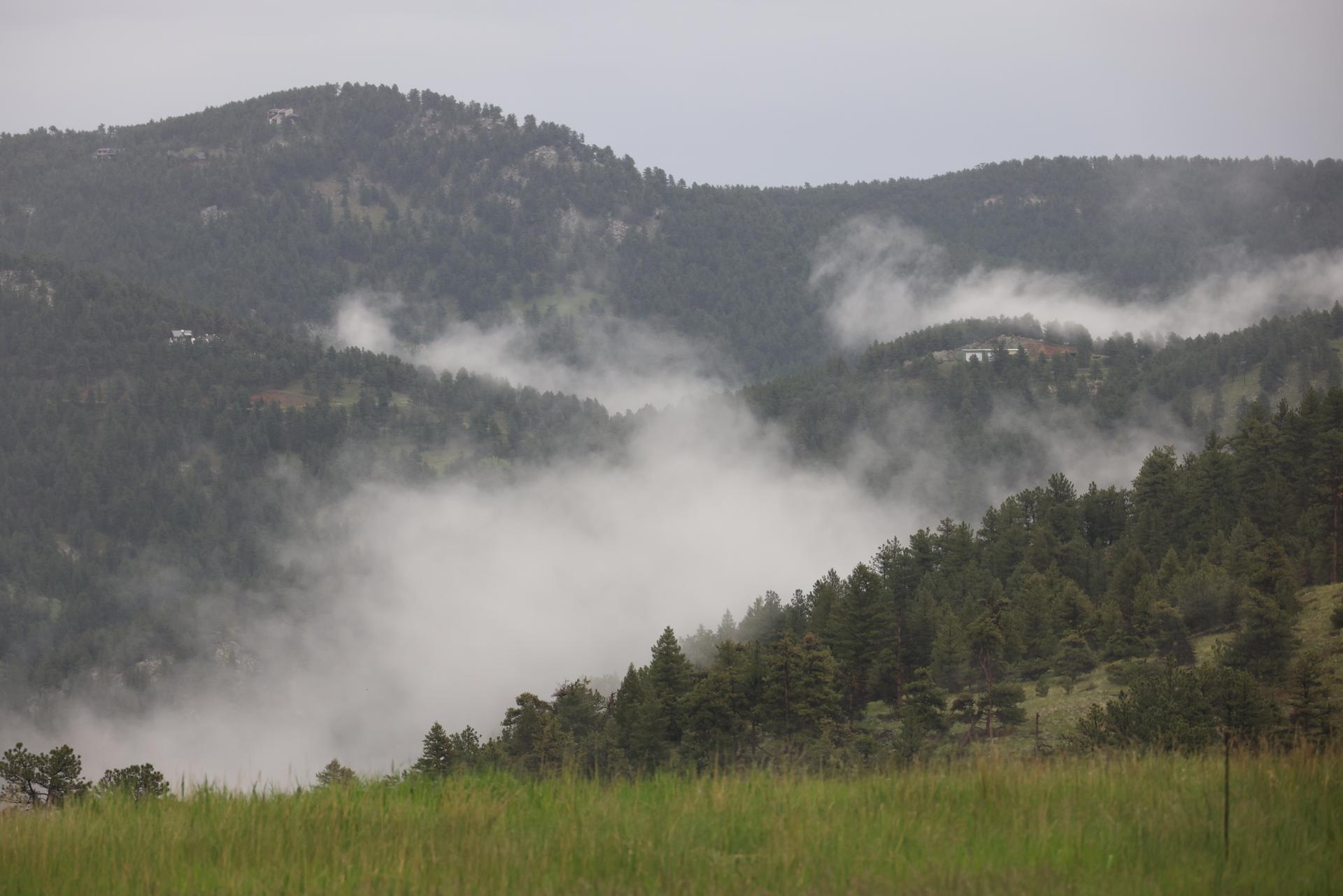 Misty fog rolling through forested mountain valleys under an overcast sky.