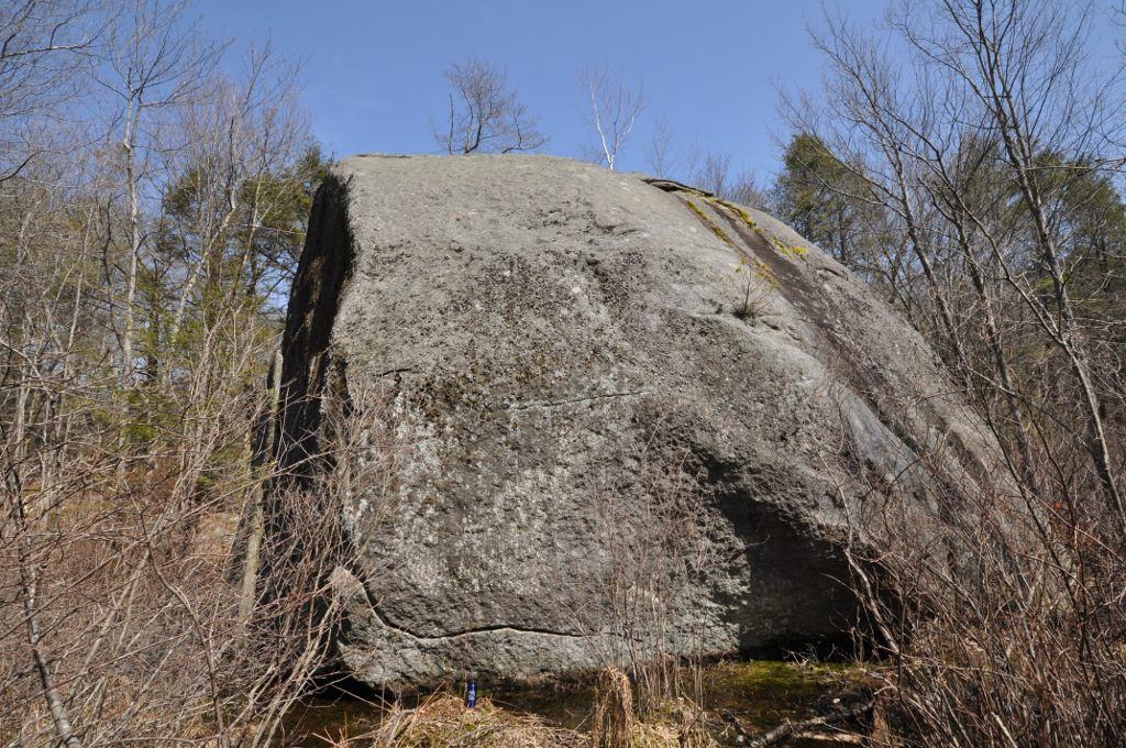 Large gray boulder in a wooded area under a clear blue sky.