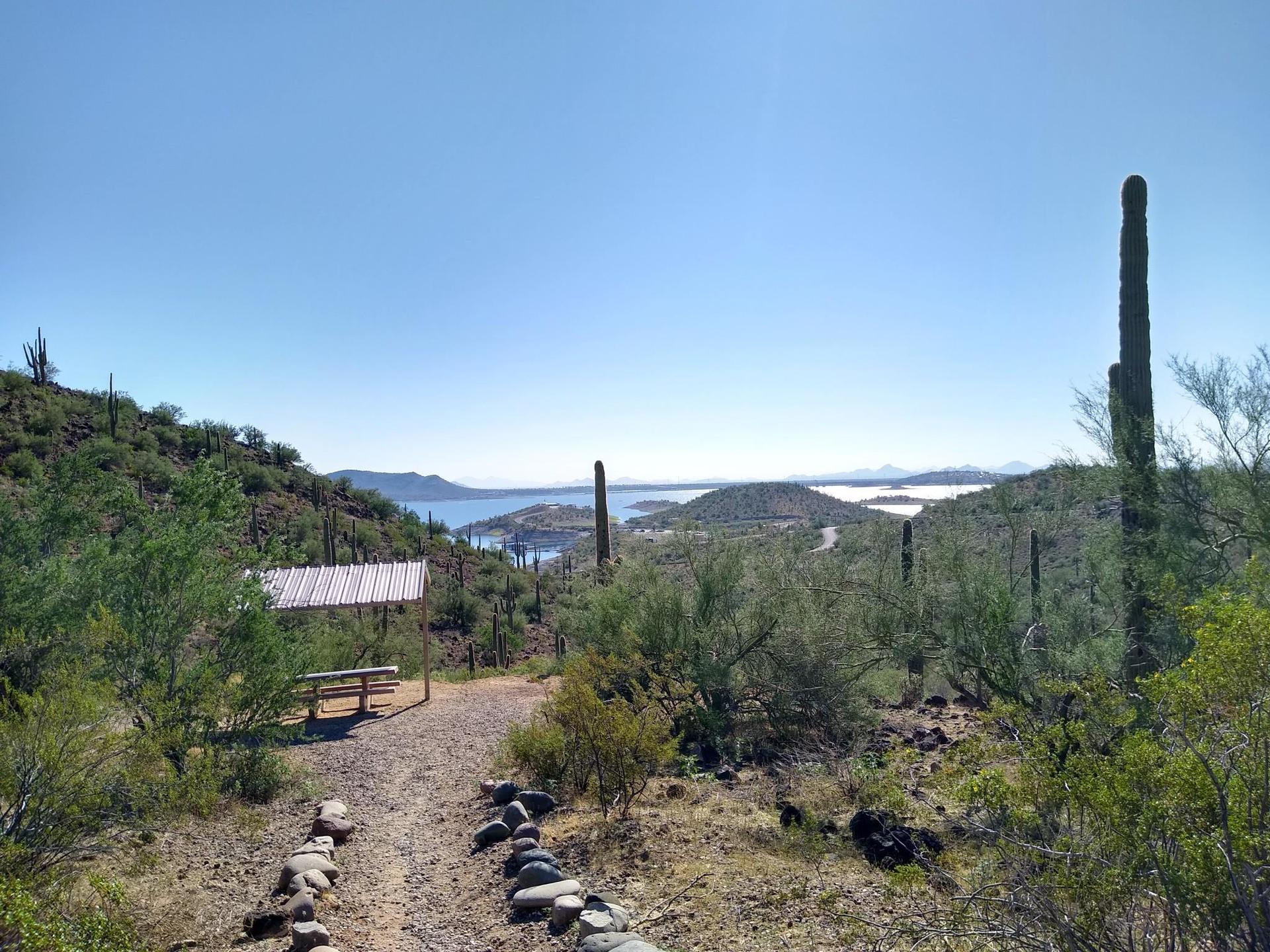 Bright desert view with a path, shaded bench, cacti, and distant water.
