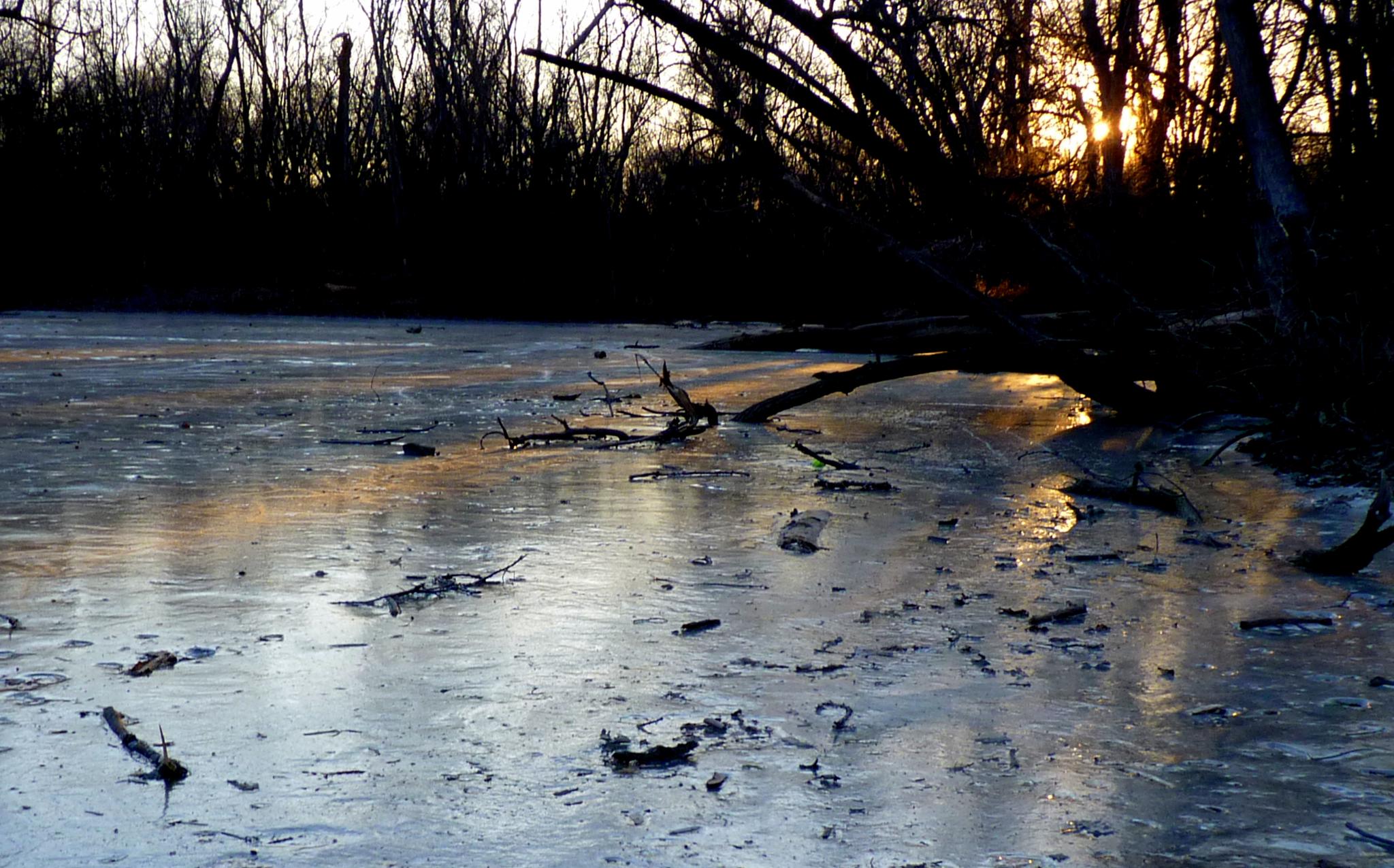 A frozen pond with bare branches and a golden sunset glow.