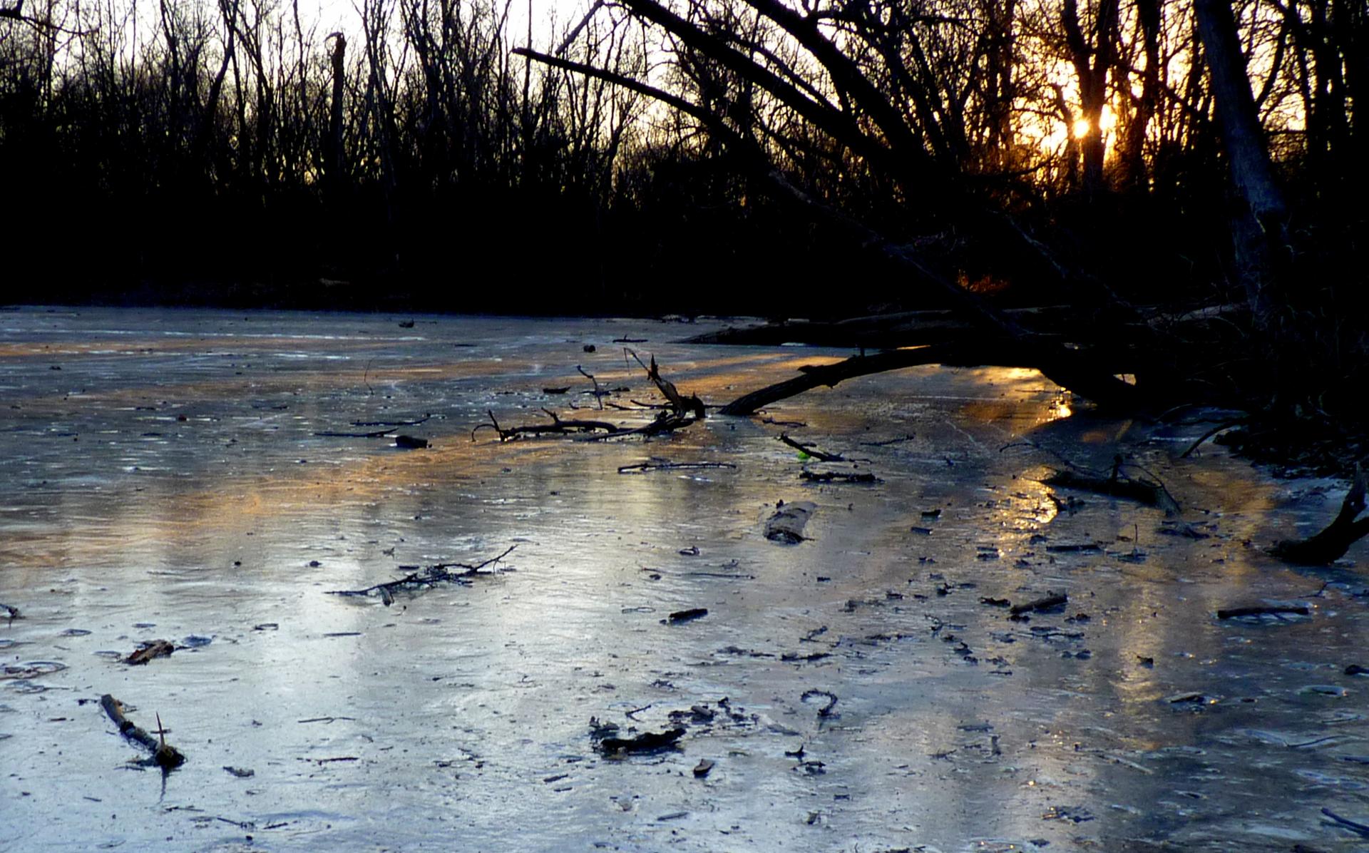 A frozen pond with bare branches and a golden sunset glow.