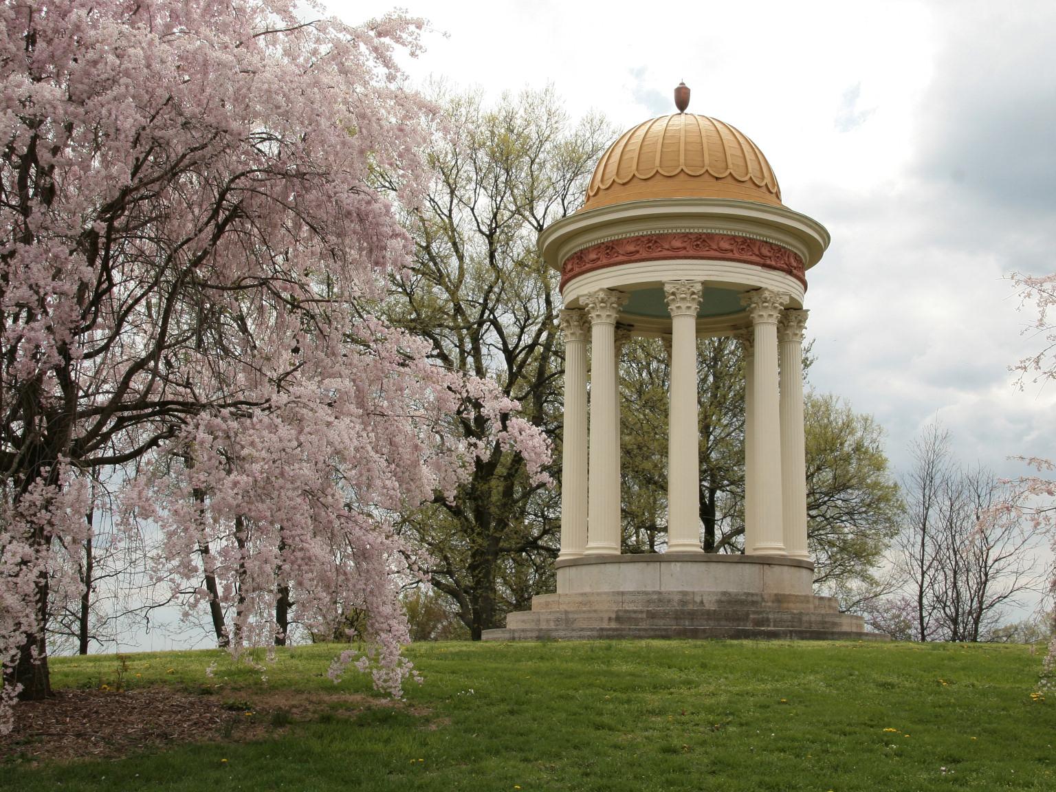 Classical gazebo with golden dome next to a pink cherry blossom tree under cloudy sky.