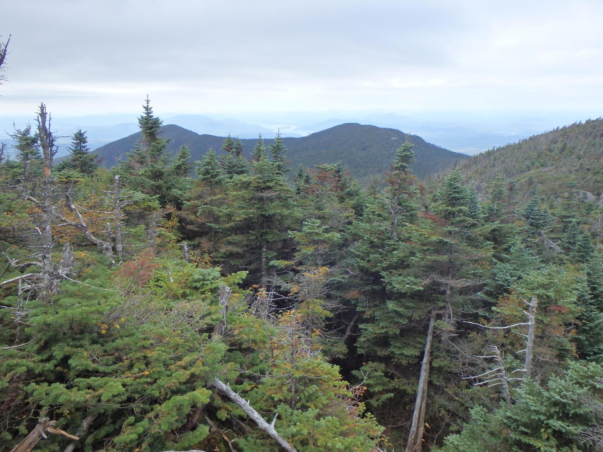 Dense evergreen forest covers mountains under an overcast sky.